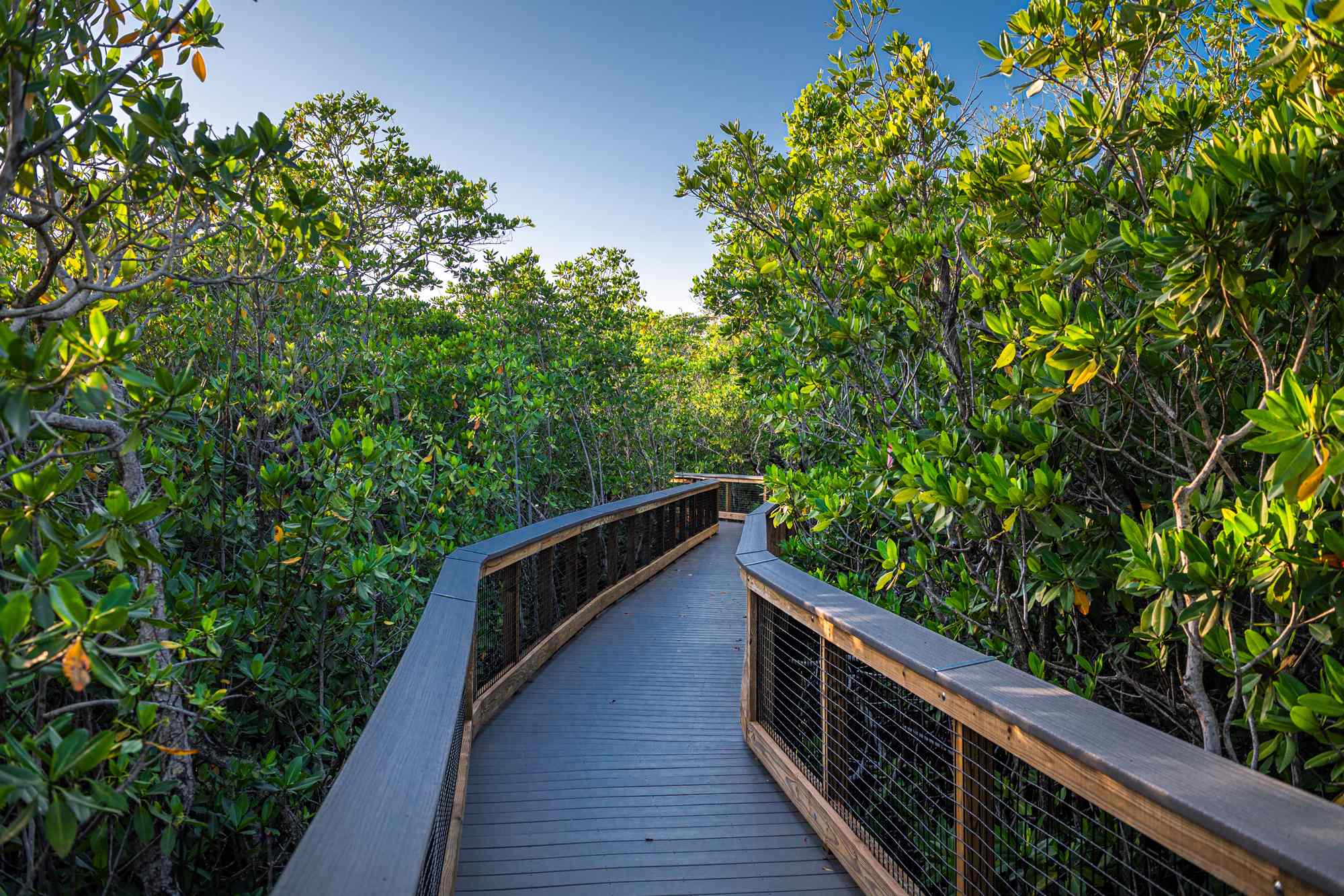12 Best Florida State Parks to Visit, According to a Longtime Local