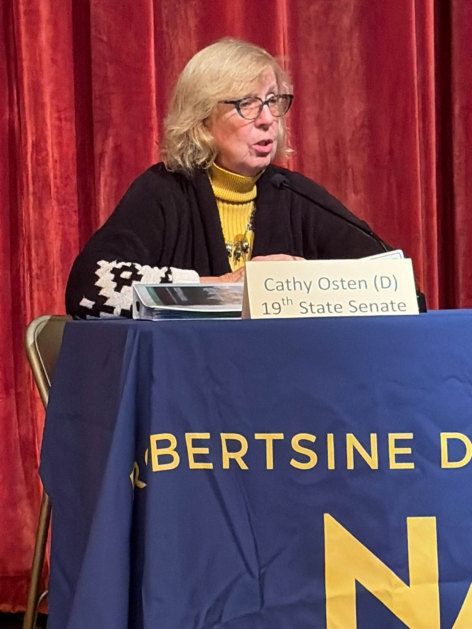 Osten, Guidone clash on affordability, jobs in state Senate debate
