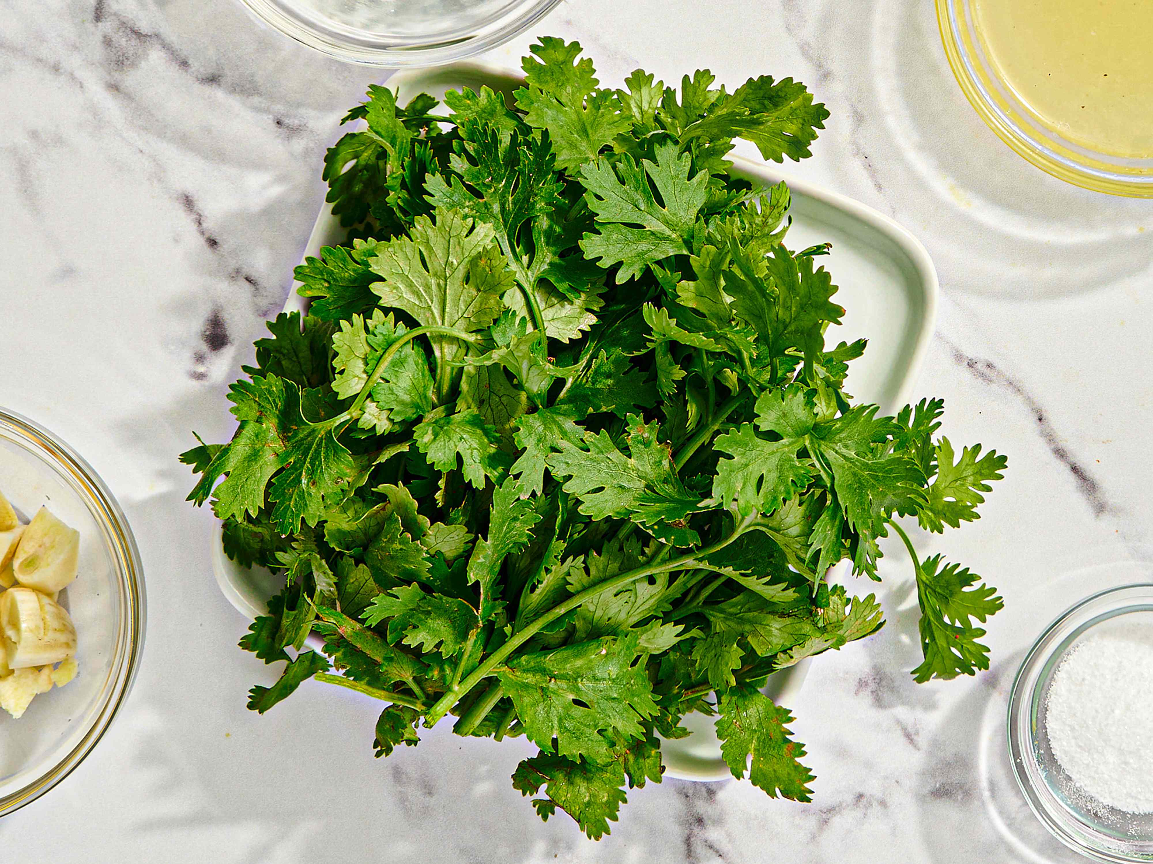Stop Letting Cilantro Get Slimy—Here's How to Keep It Fresh for Weeks