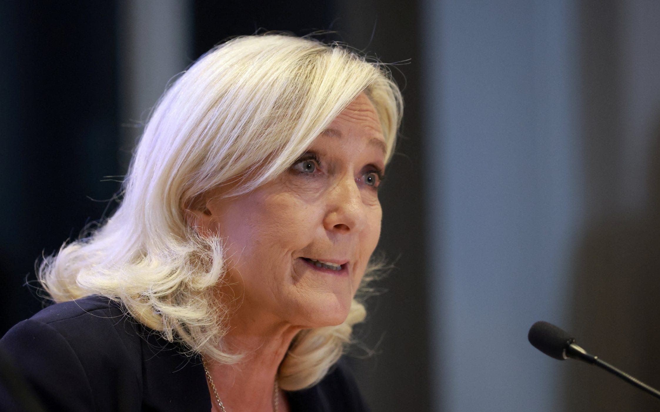 Le Pen to cull enemies if elected