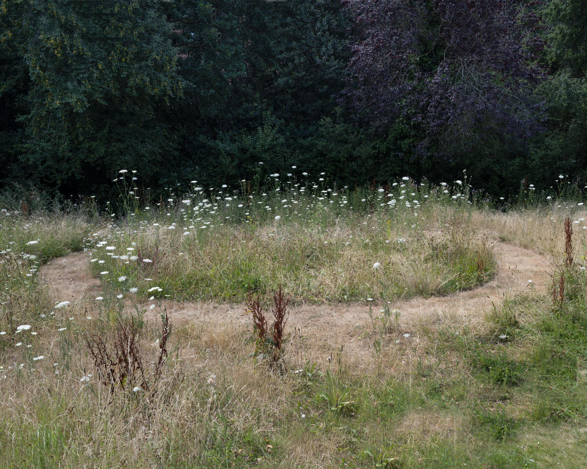 Sod's law: what can two turf swaps 40 years apart tell us about Britain's biodiversity crisis?