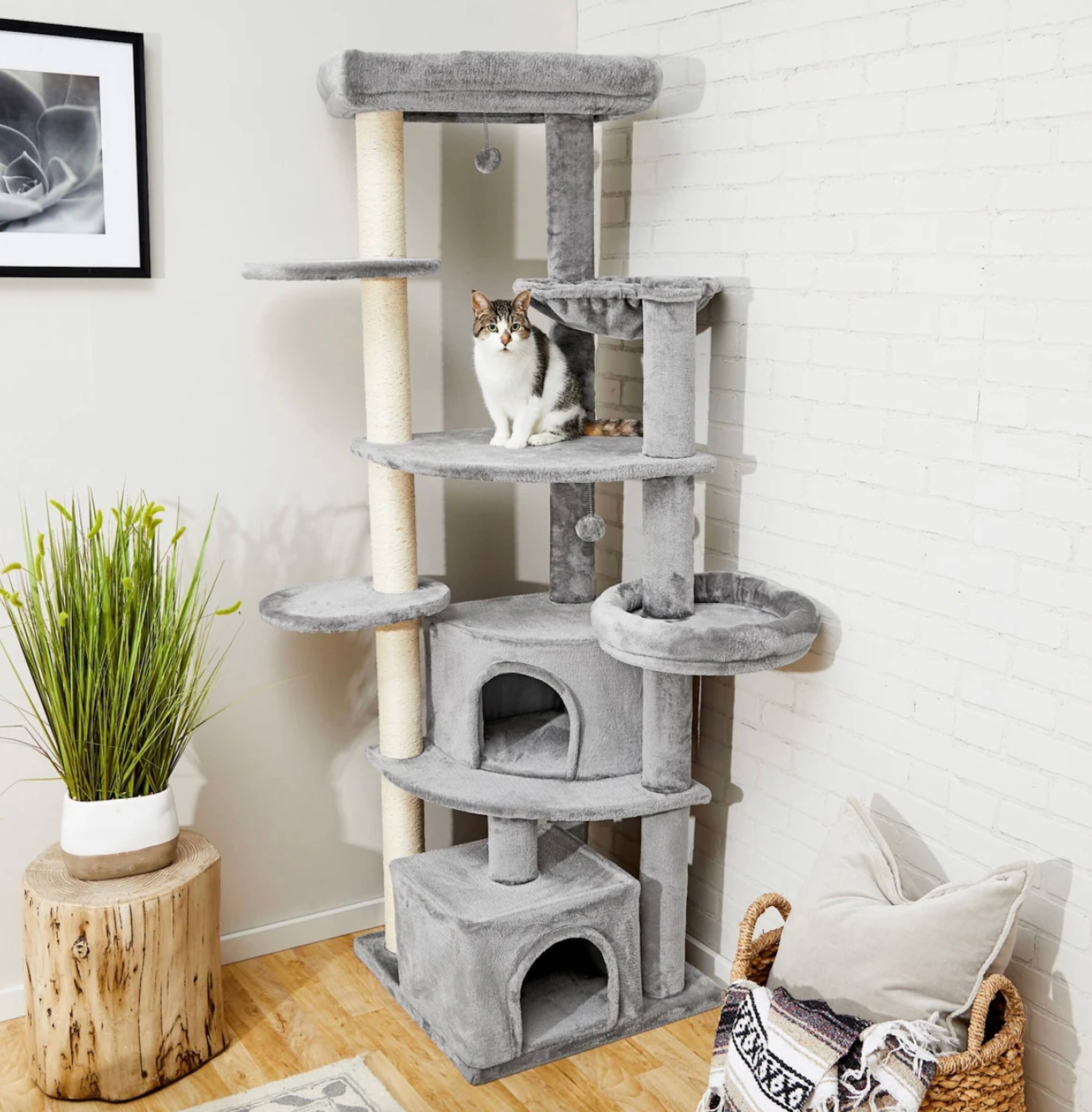 Chewy’s 76-Inch Cat Tree Is Built for the Big Kitty With Too Much Cat ...