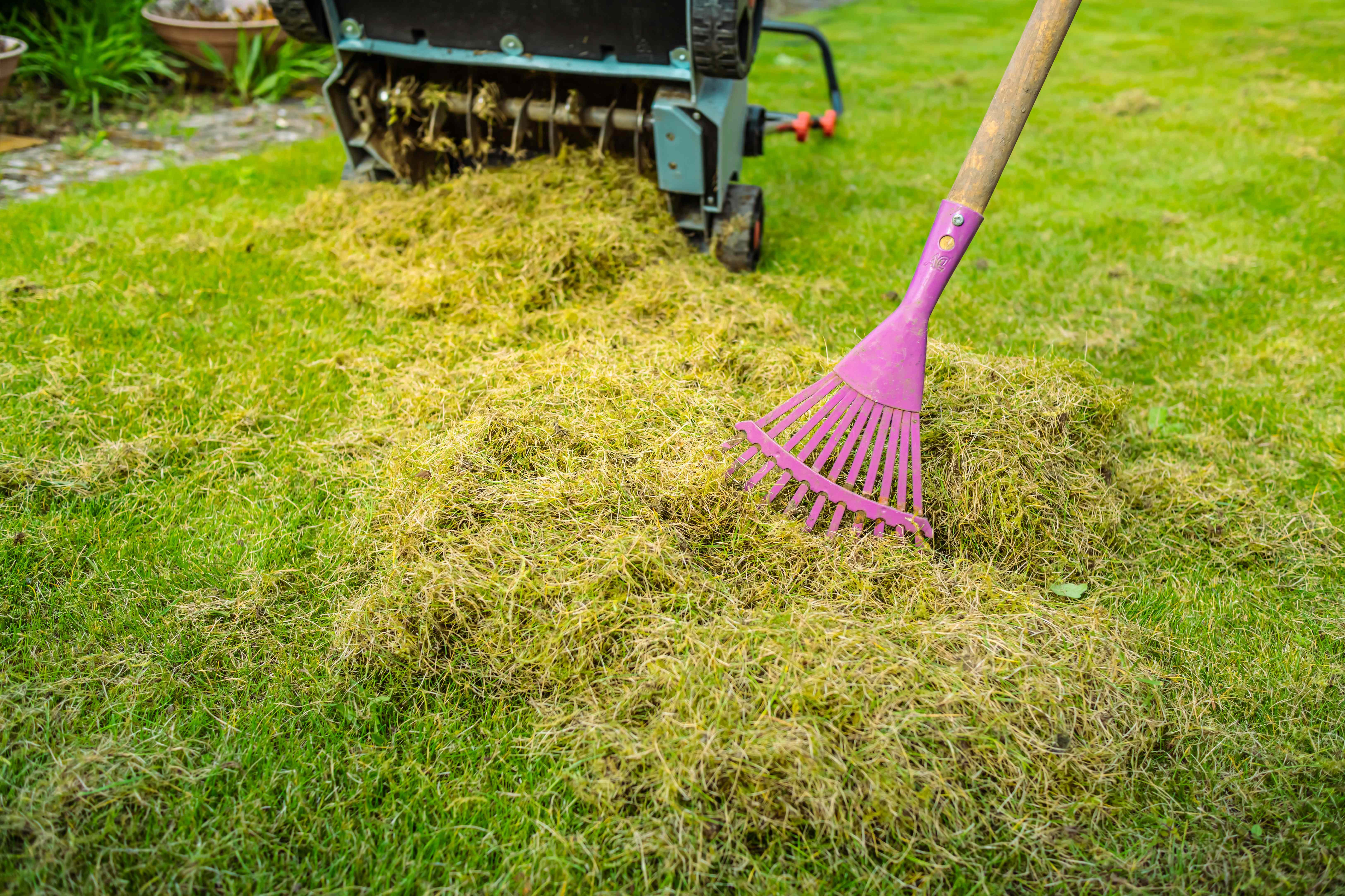 Garden Experts Say October Is the Perfect Time to Dethatch Your Lawn—Here's Why