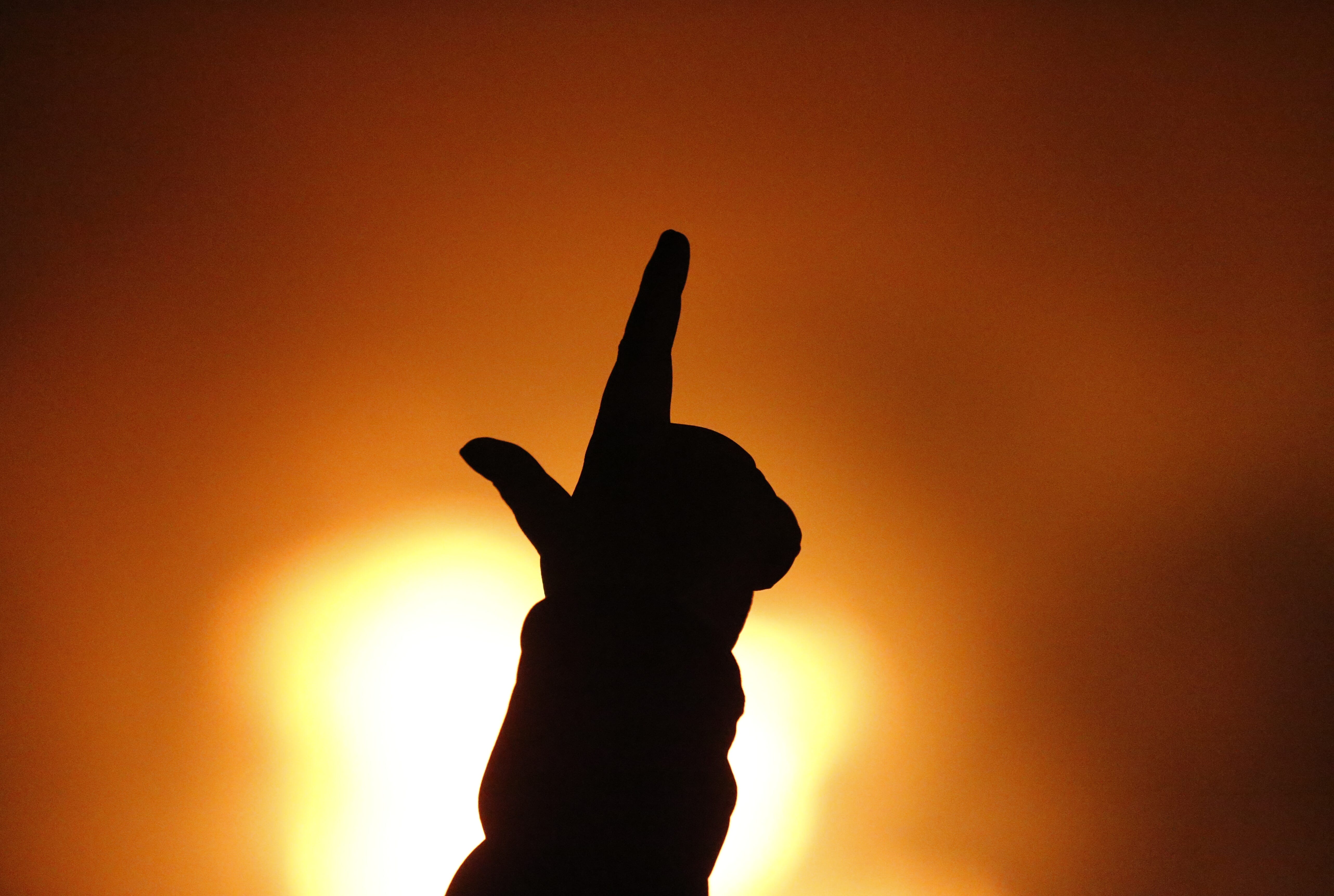 Pep Rally Style Signs Texas Tech continues homecoming with parade, concert, football - AOL