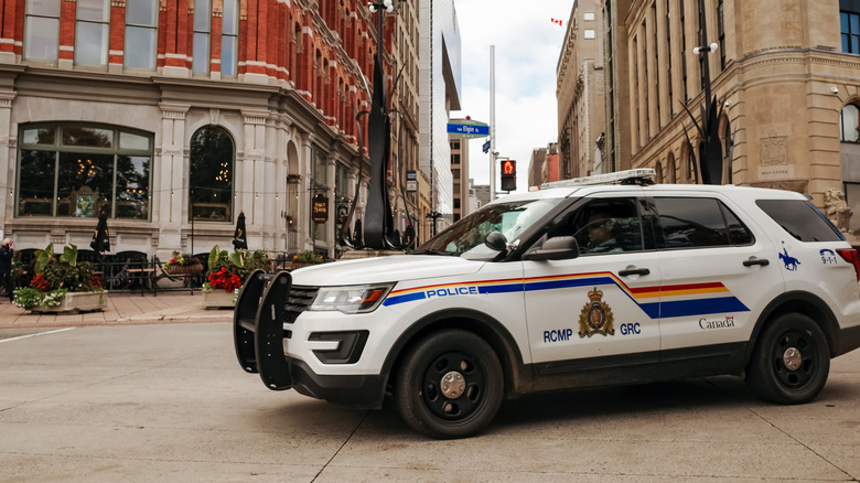 Car T Flow Retired RCMP Police Cars Go To The Crusher Because Canada Will Not Let ...