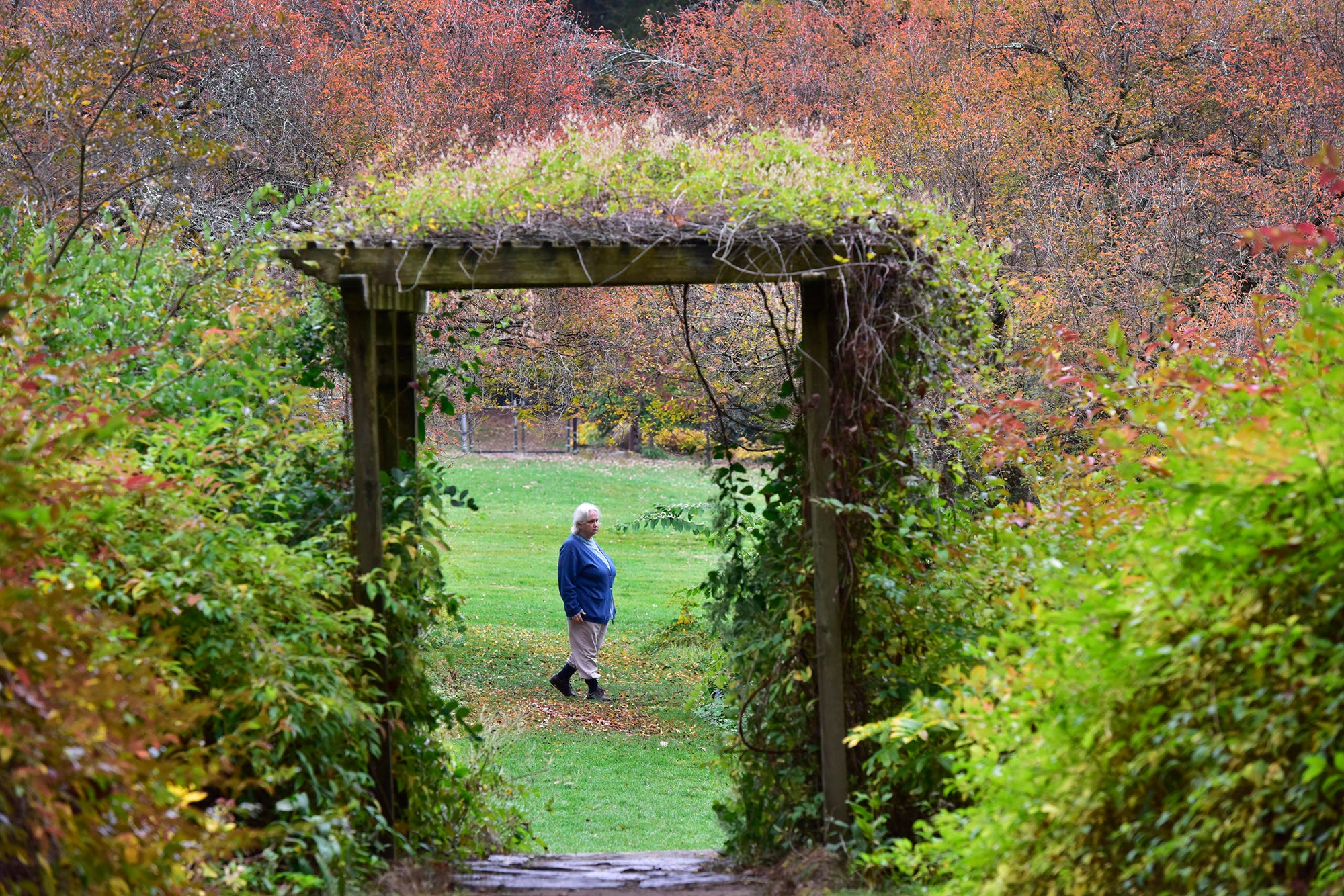 Go leaf peeping with these scenic fall drives in North Jersey - AOL