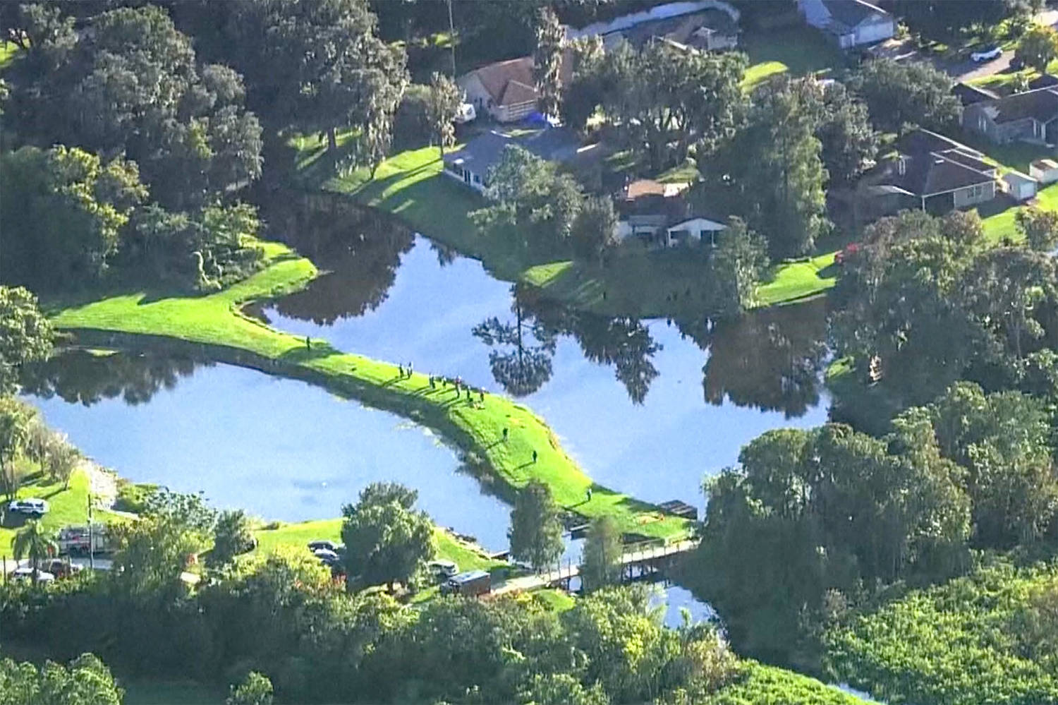 Man, 71, dies after alligator attack while fishing in Florida, police ...