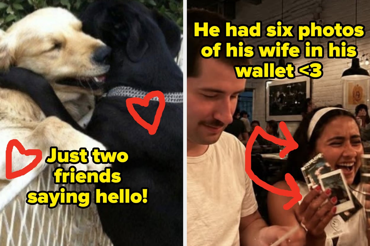 24 Pure Moments Of Humans And Animals Just Living Their Best Lives
