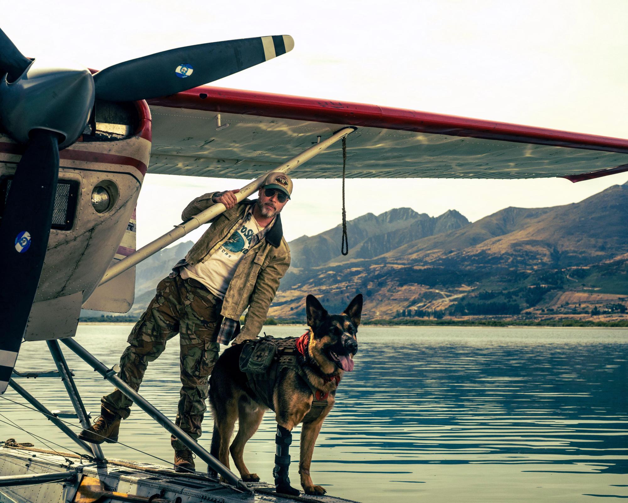 Pedigree chums: why dogs are dying less in movies