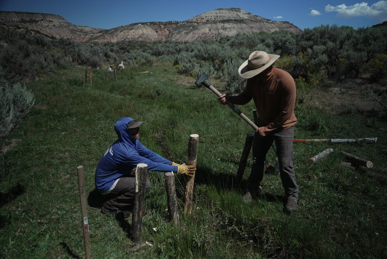 River Structue How beaver 'starter homes' are solving a pressing problem in US rivers ...