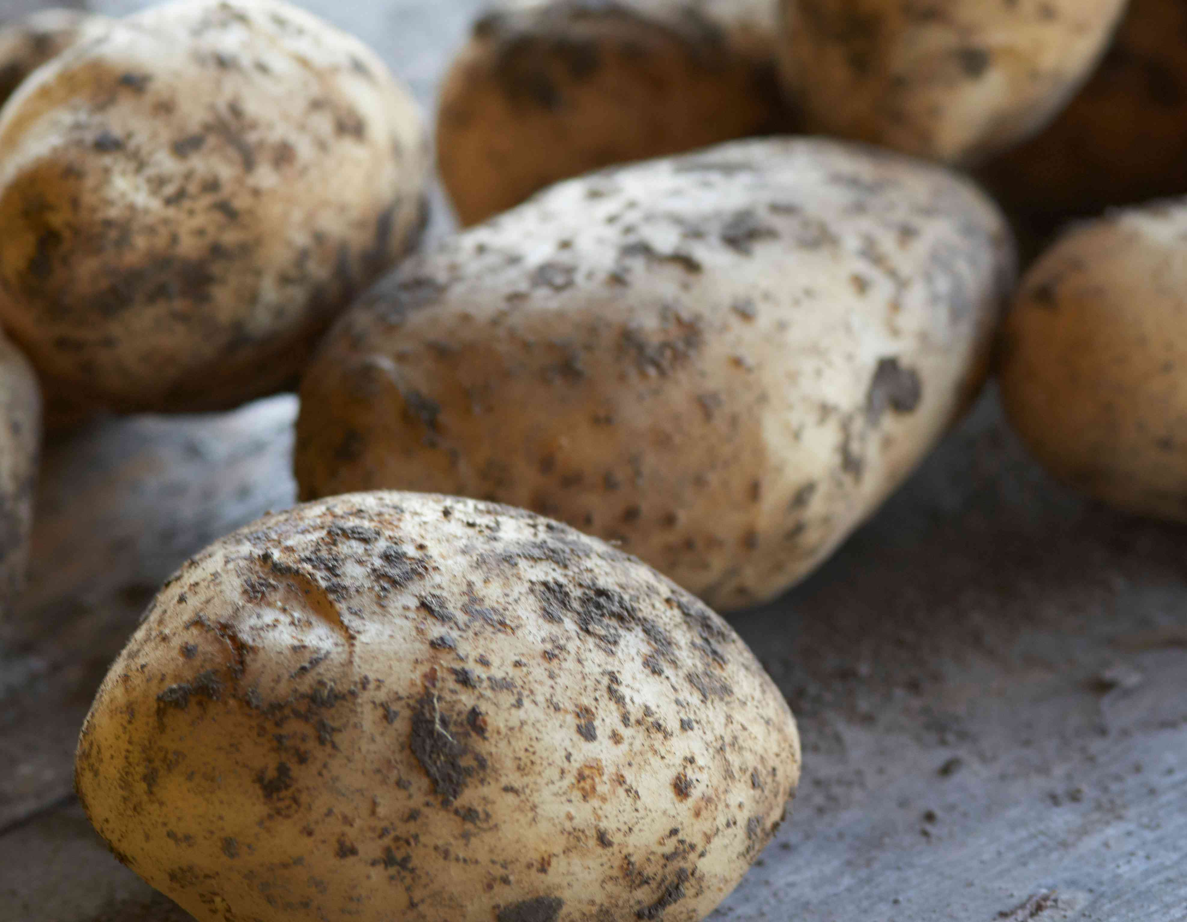 How to Cure Homegrown Potatoes in 3 Simple Steps So Your Spuds Last for Months