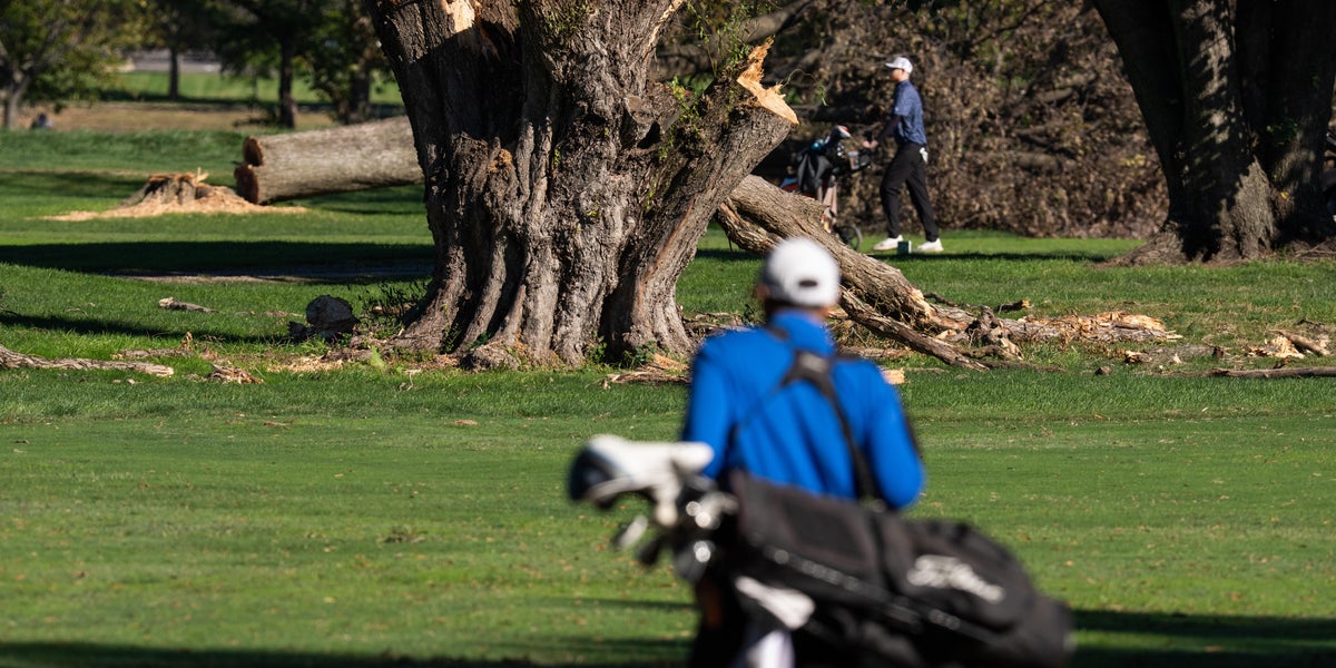 'Crazed Lunatic': Unhinged Trump Rages At Judge in Golf Course Case