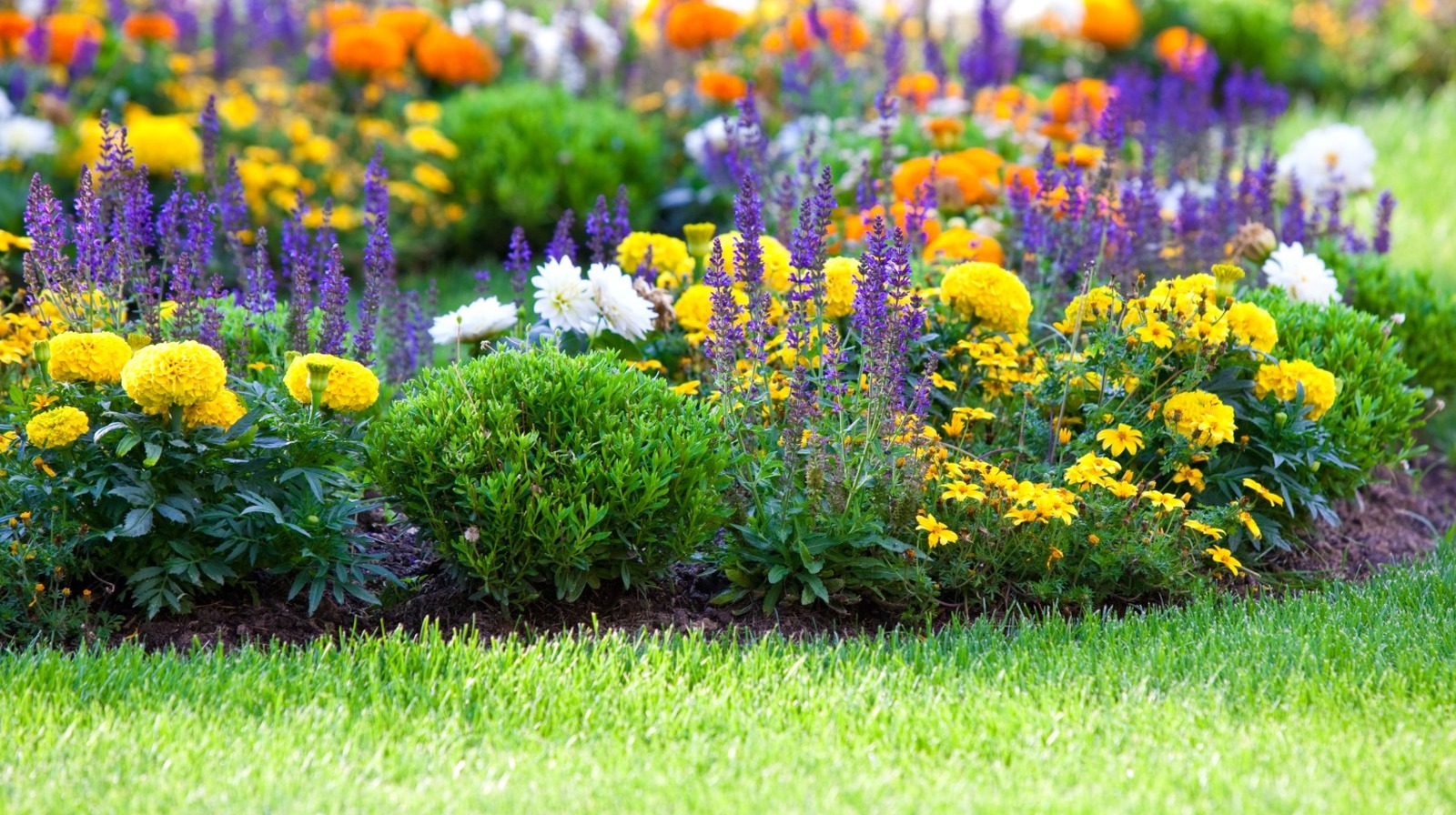 The Most Effective Way To Get Rid Of Grass In Your Flower Beds (It's So Simple!)