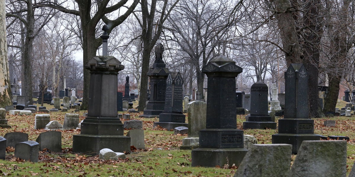 Variation Between Animals Here's The Difference Between A Cemetery And A Graveyard - AOL