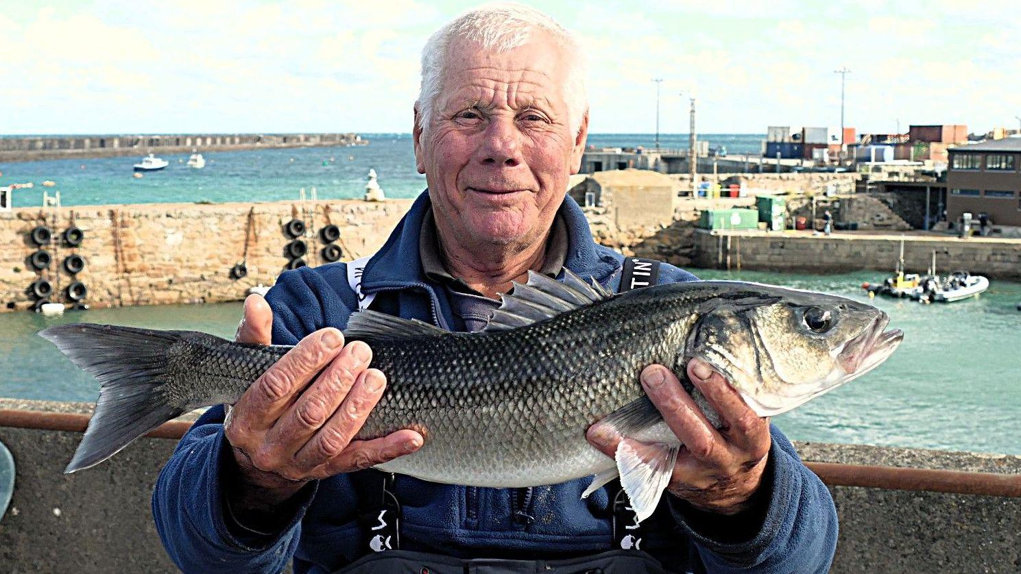 Concerns raised over declining fish numbers - AOL