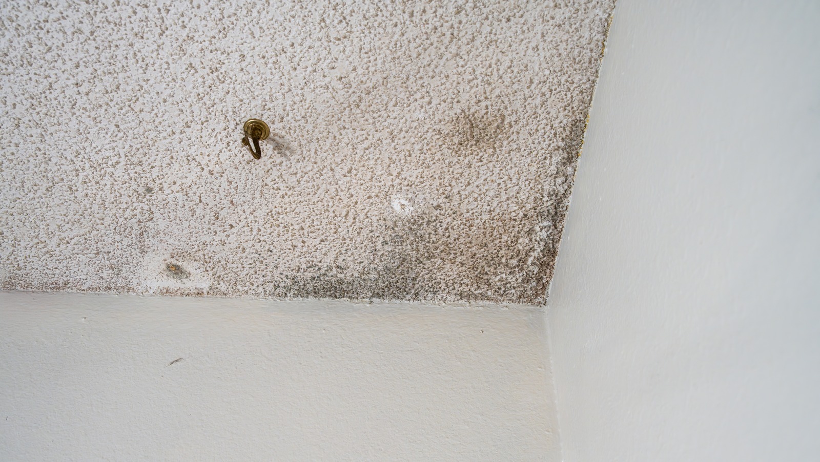 How To Easily Get Rid Of Mold On Popcorn Ceilings And Make Them Look Like New