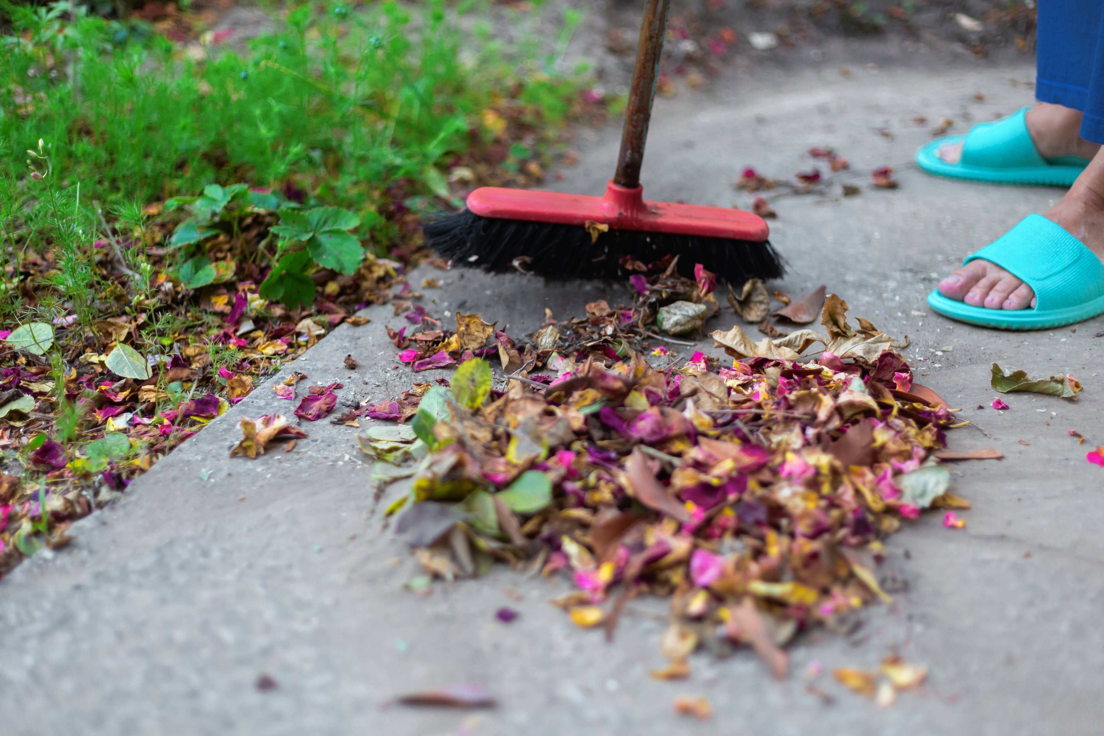 Why Bugs Come Inside When It Rains—and How to Keep Them Out, According ...