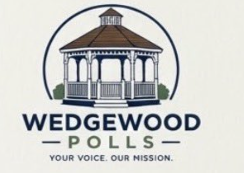 Polling firm admits to fabricating data as a 'social experiment'