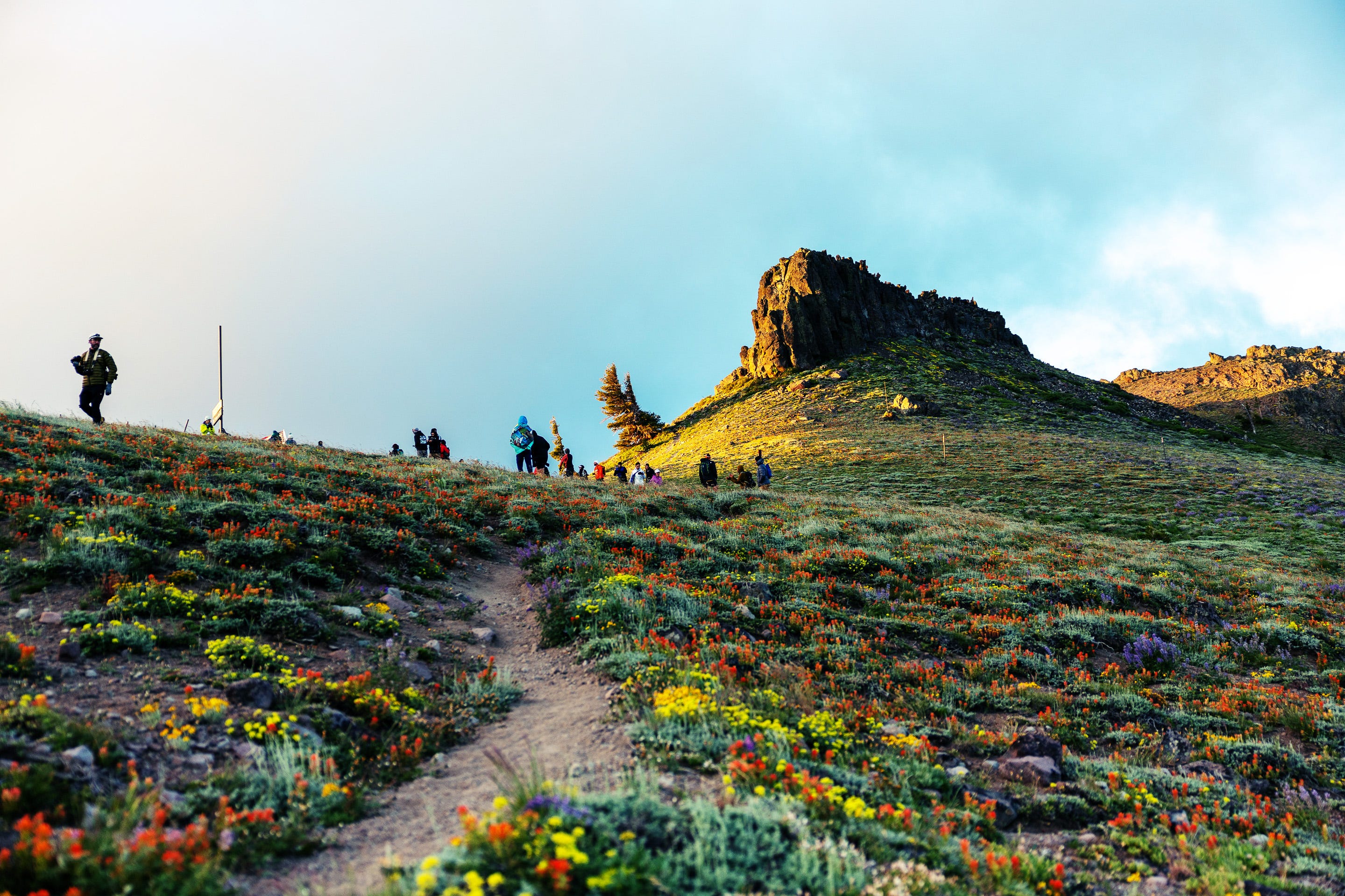 Running 100 Miles Is Hard. Getting Into a Top Race Is Even Harder. - AOL