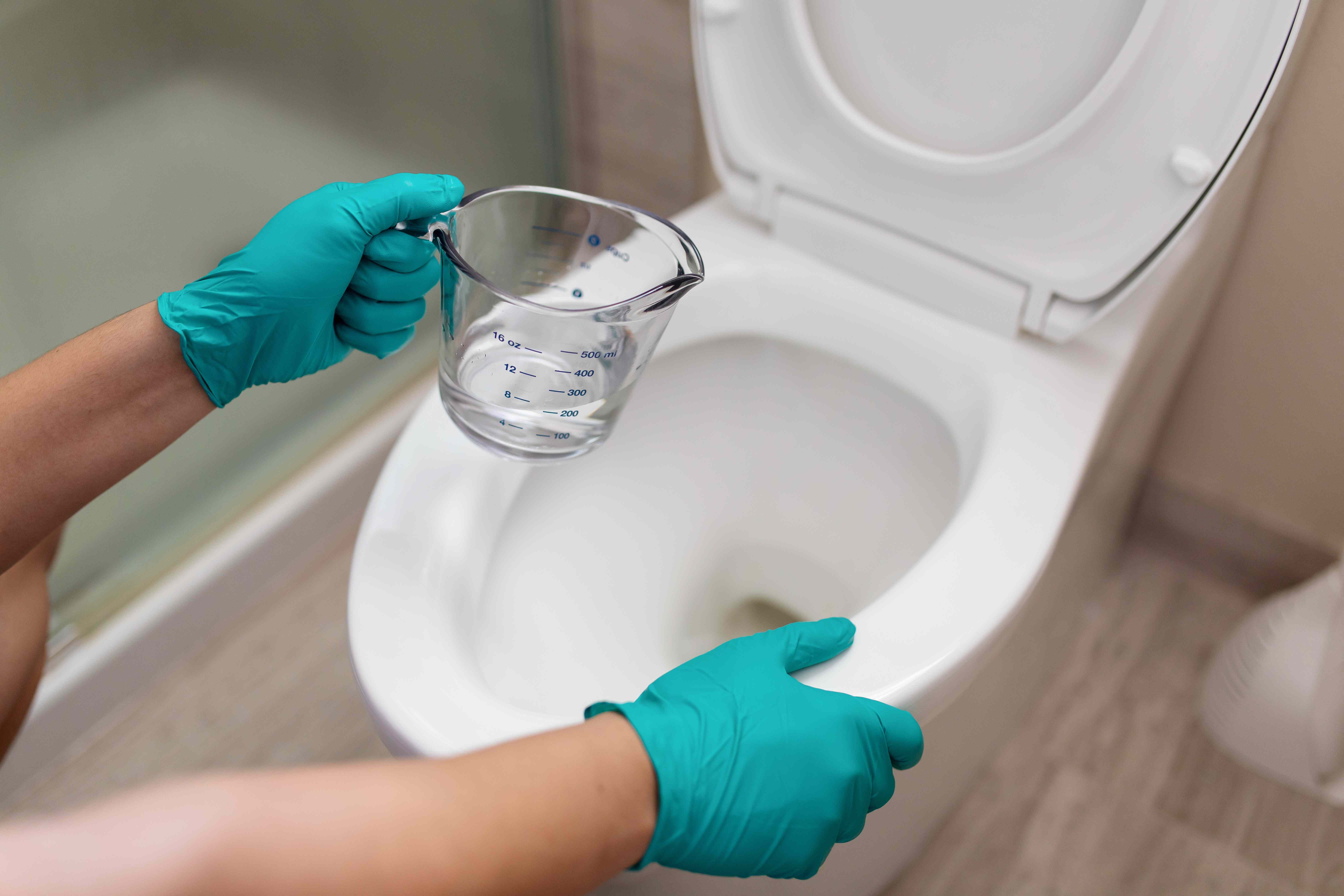 How to Clean Your Toilet Bowl With Vinegar to Get Rid of Everything From Stains to Odors, Pros Share