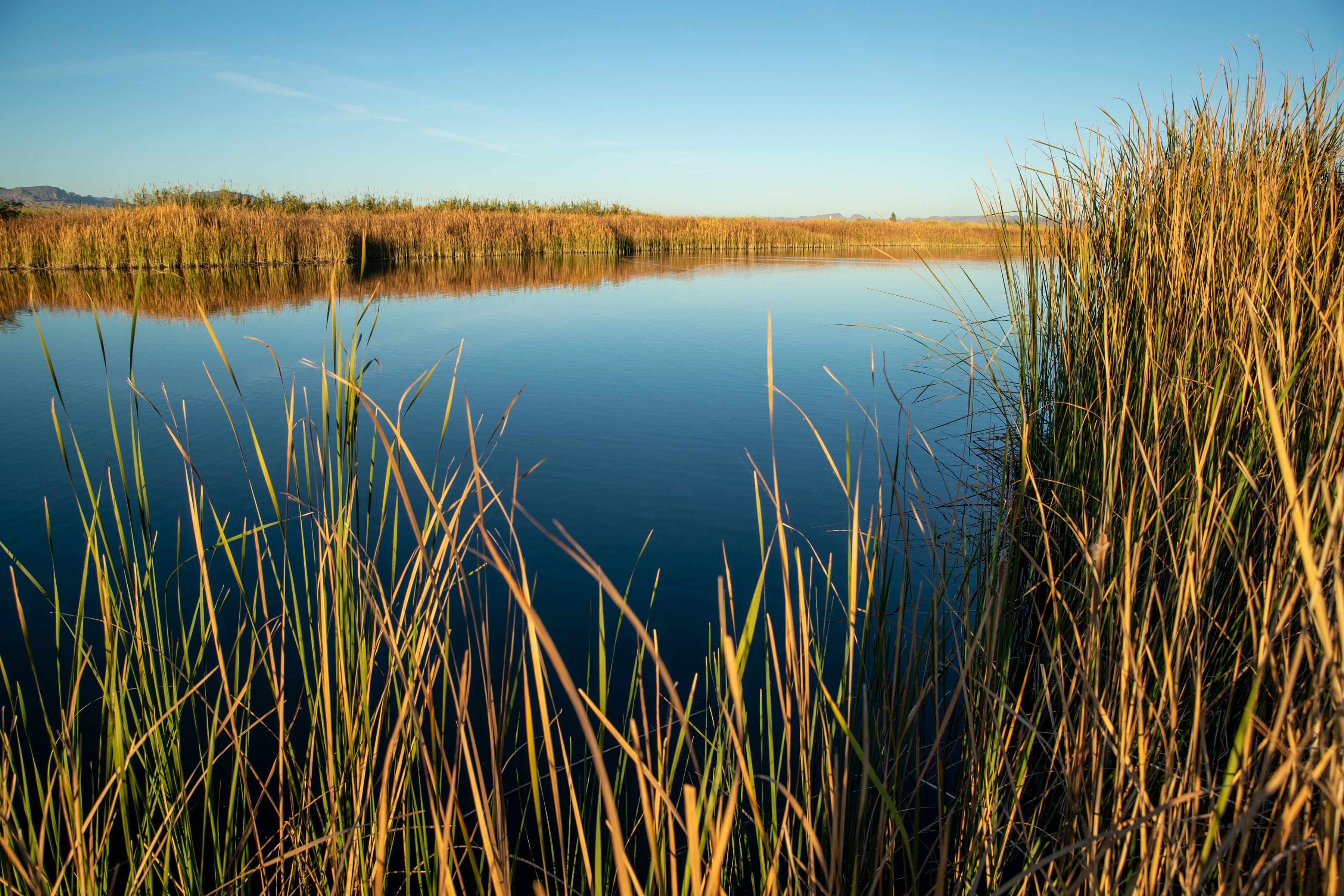 Tribes weigh legal action against feds over Colorado River cutbacks