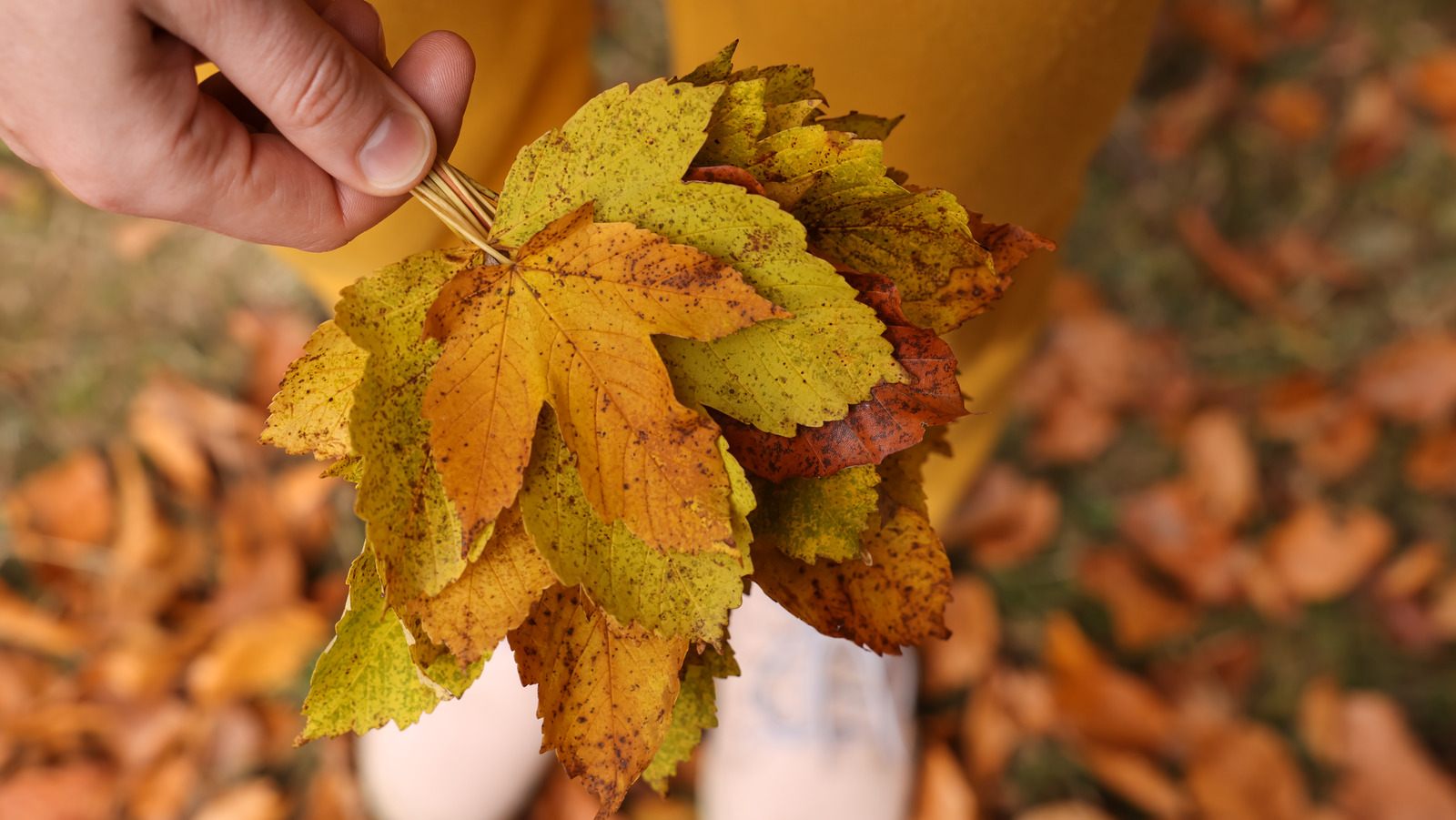 How To Make Realistic Autumn Leaves Out Of Coffee Filters For The Perfect Fall Garland