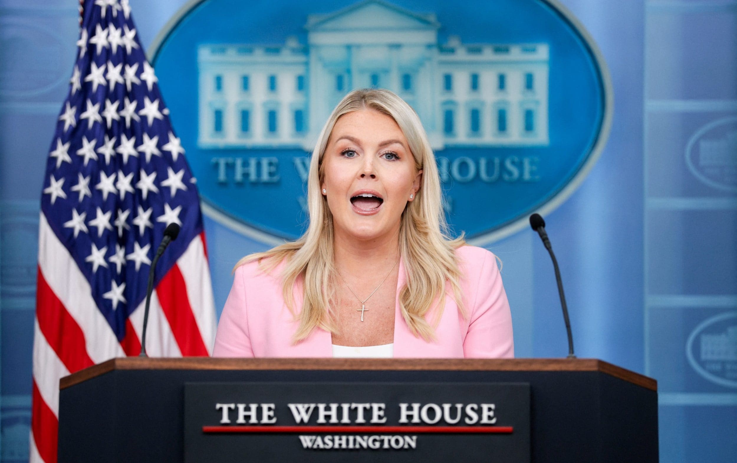 Karoline Leavitt says role was ‘obviously not for’ White House press secretary sacked by Trump