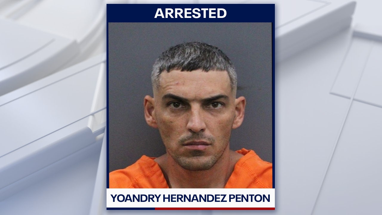 Man charged with attempted murder after alleged stabbing, carjacking in ...
