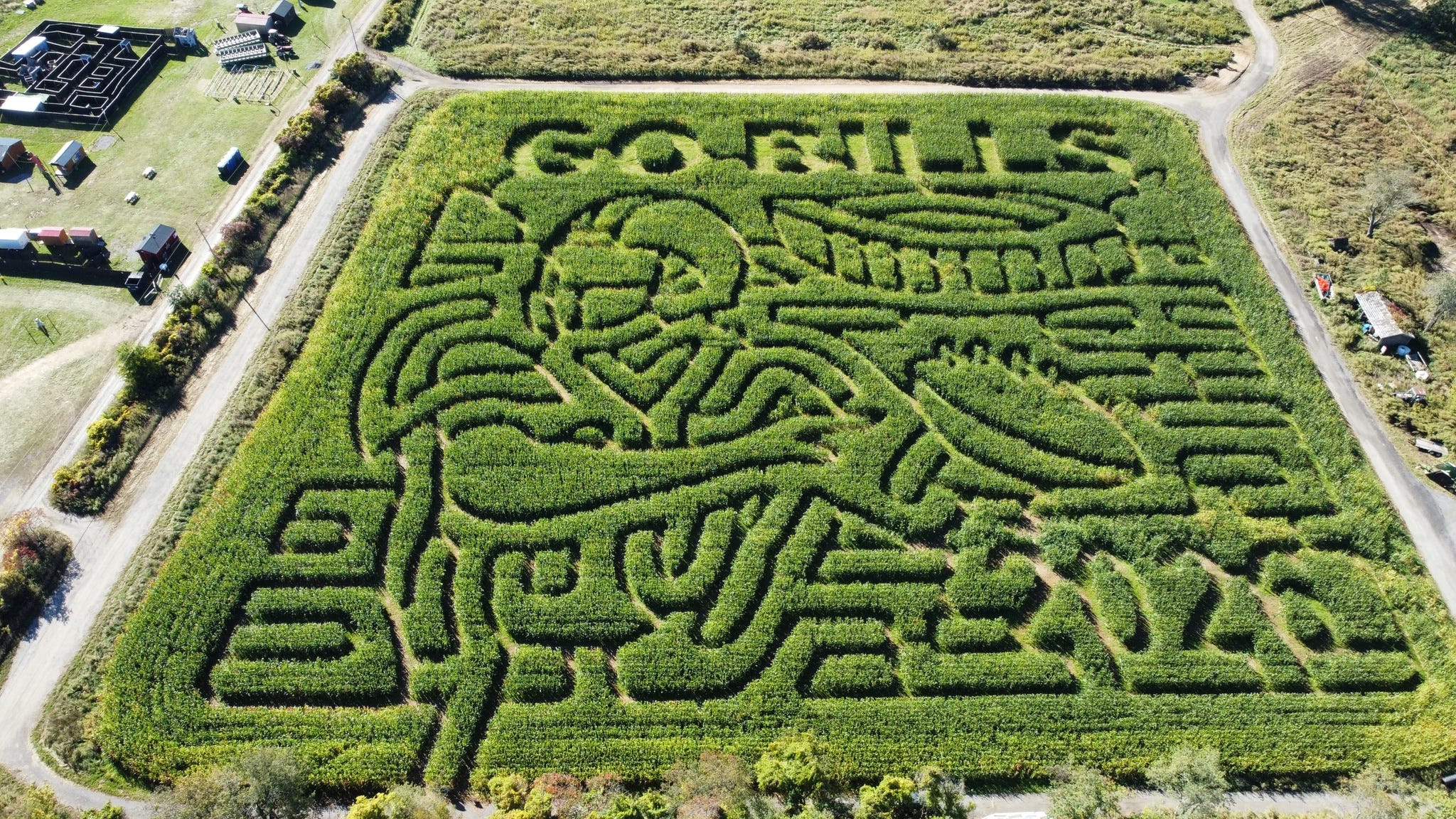Wizard Maze A New York pumpkin farm has a giant Buffalo Bills-themed corn maze - AOL