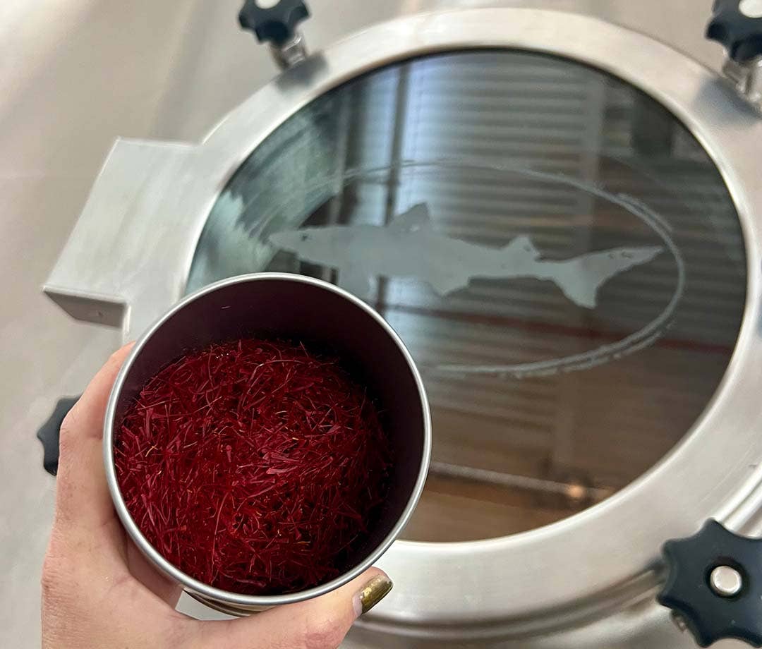 Dogfish Head Is Reviving Its Midas Touch Beer, Based on Residue From a ...