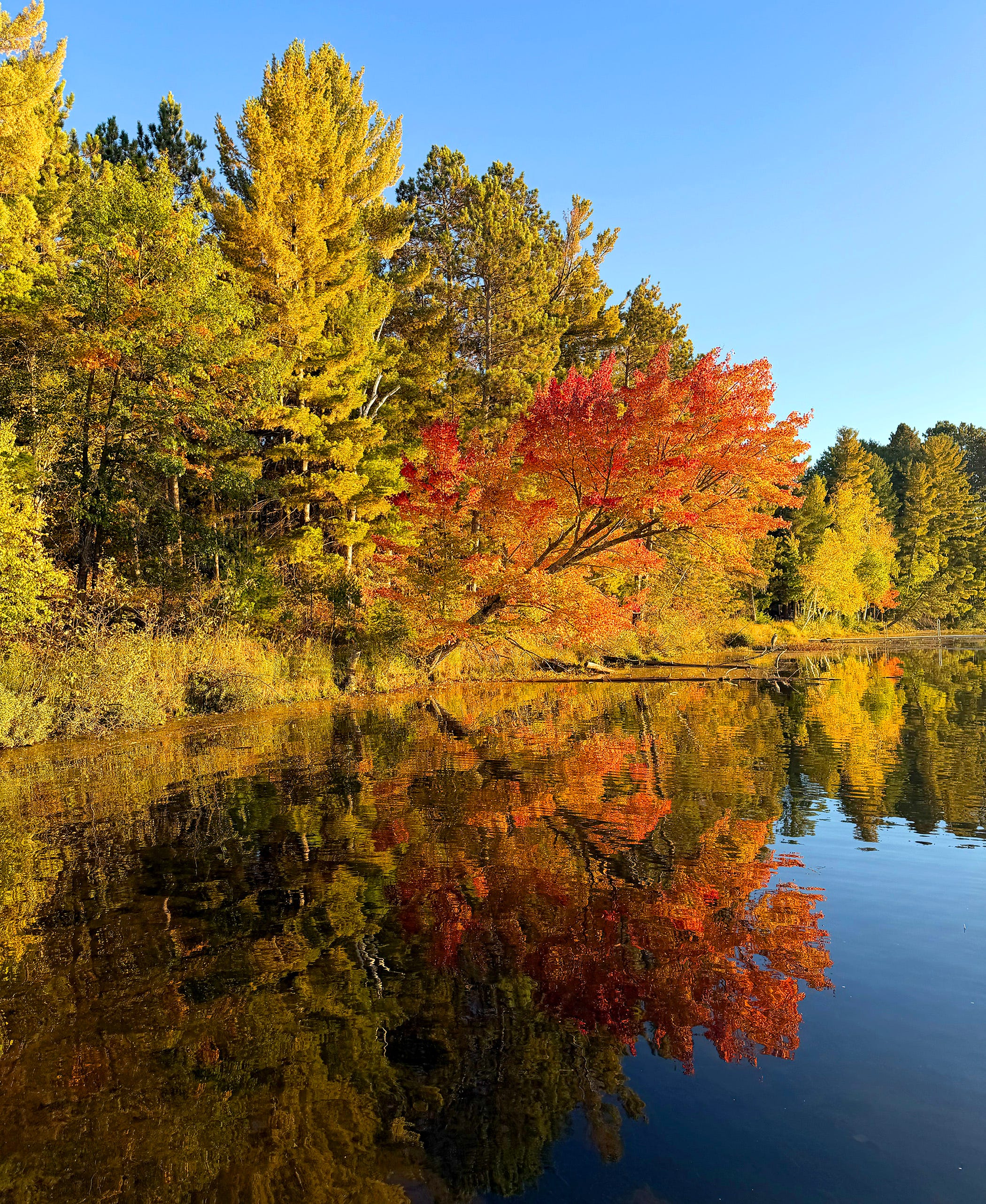 Fall River Series Look for all-star fall color on drive to Brewers' World Series games - AOL