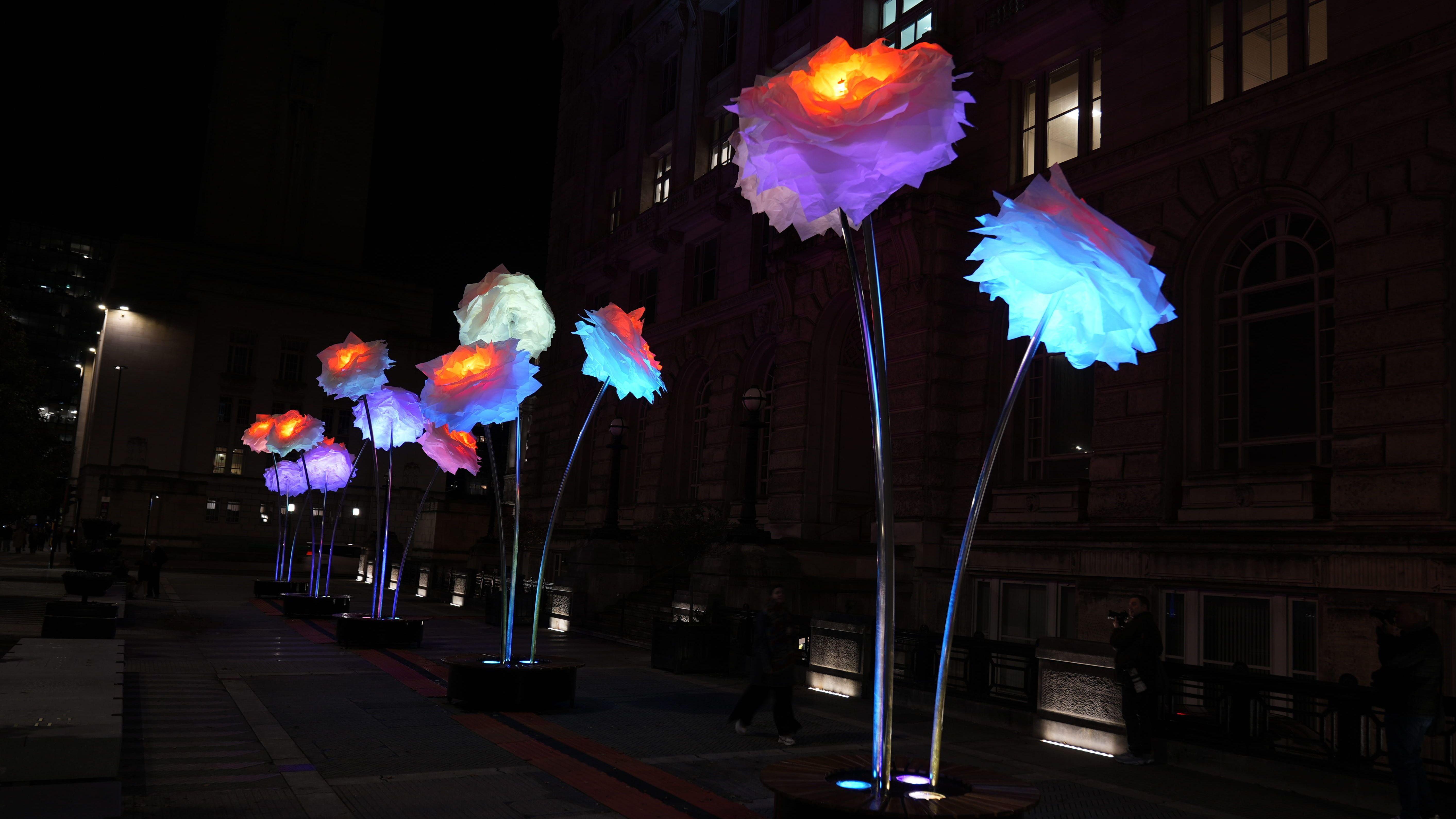 Wapping Liverpool River of Light 2026: Everything you need to know - AOL