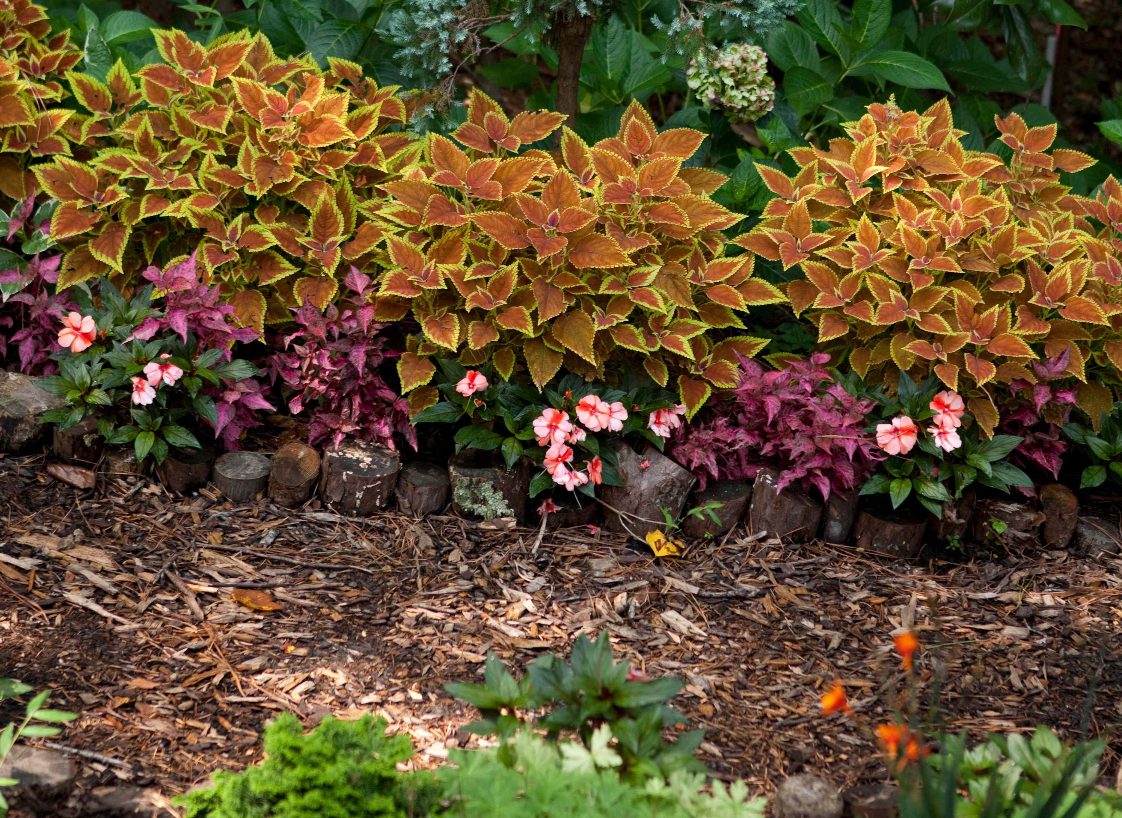 Is It Better to Add Mulch Before or After the Ground Freezes? Here’s What Experts Say