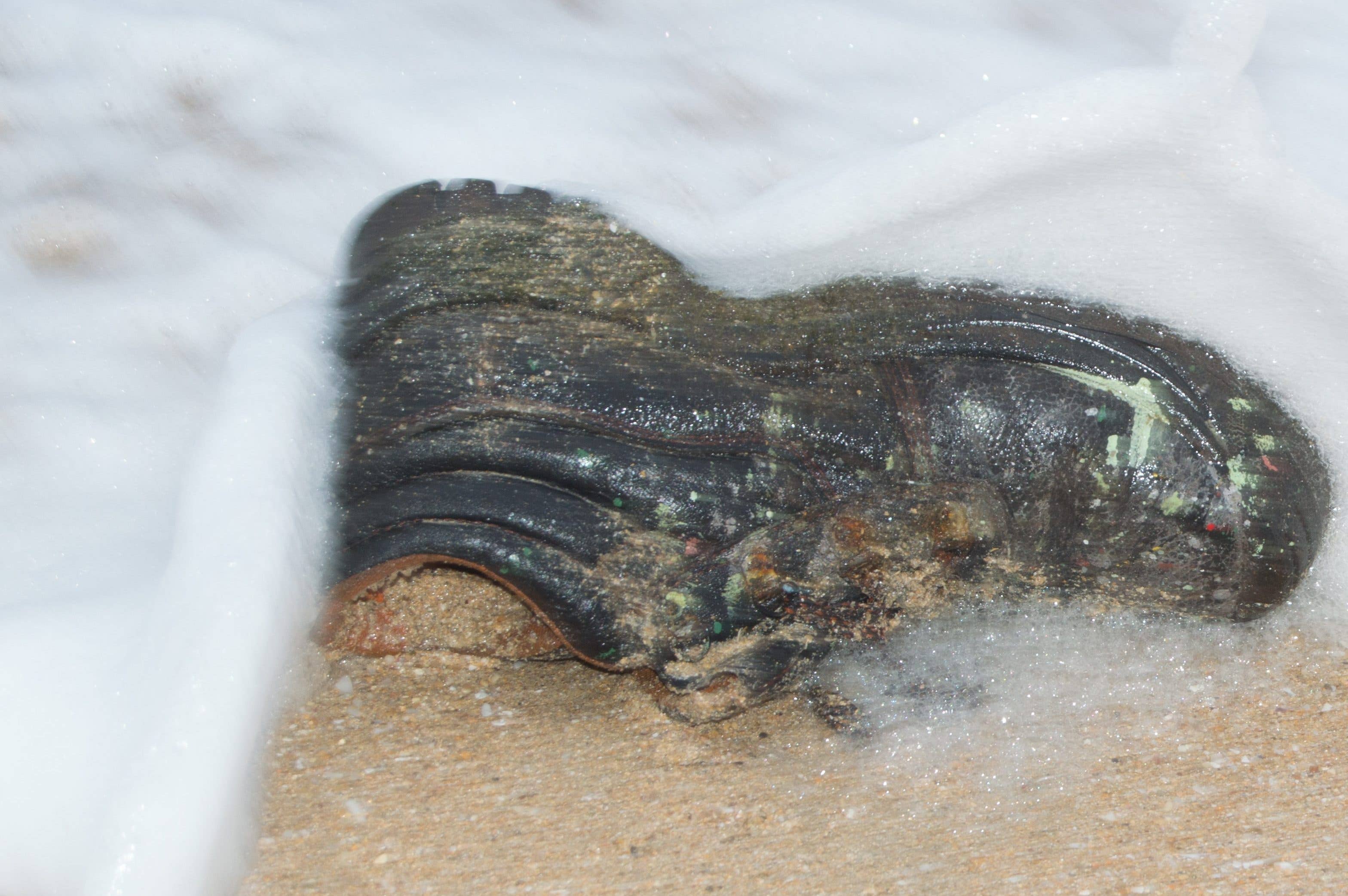 Dozens of Human Feet Washed Ashore in the Pacific Northwest Inside ...