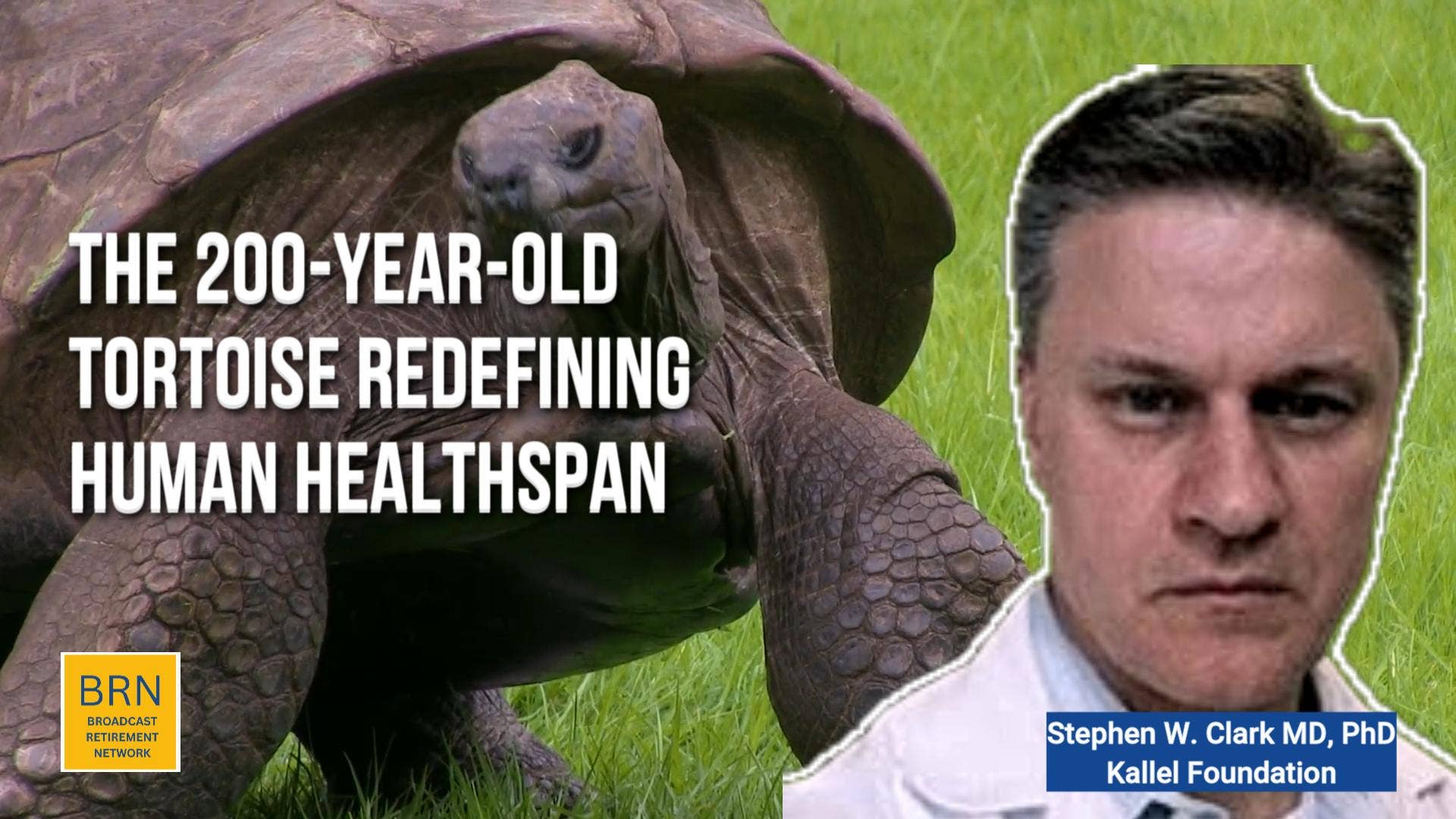 The 200-Year-Old Tortoise Redefining Human Healthspan - AOL