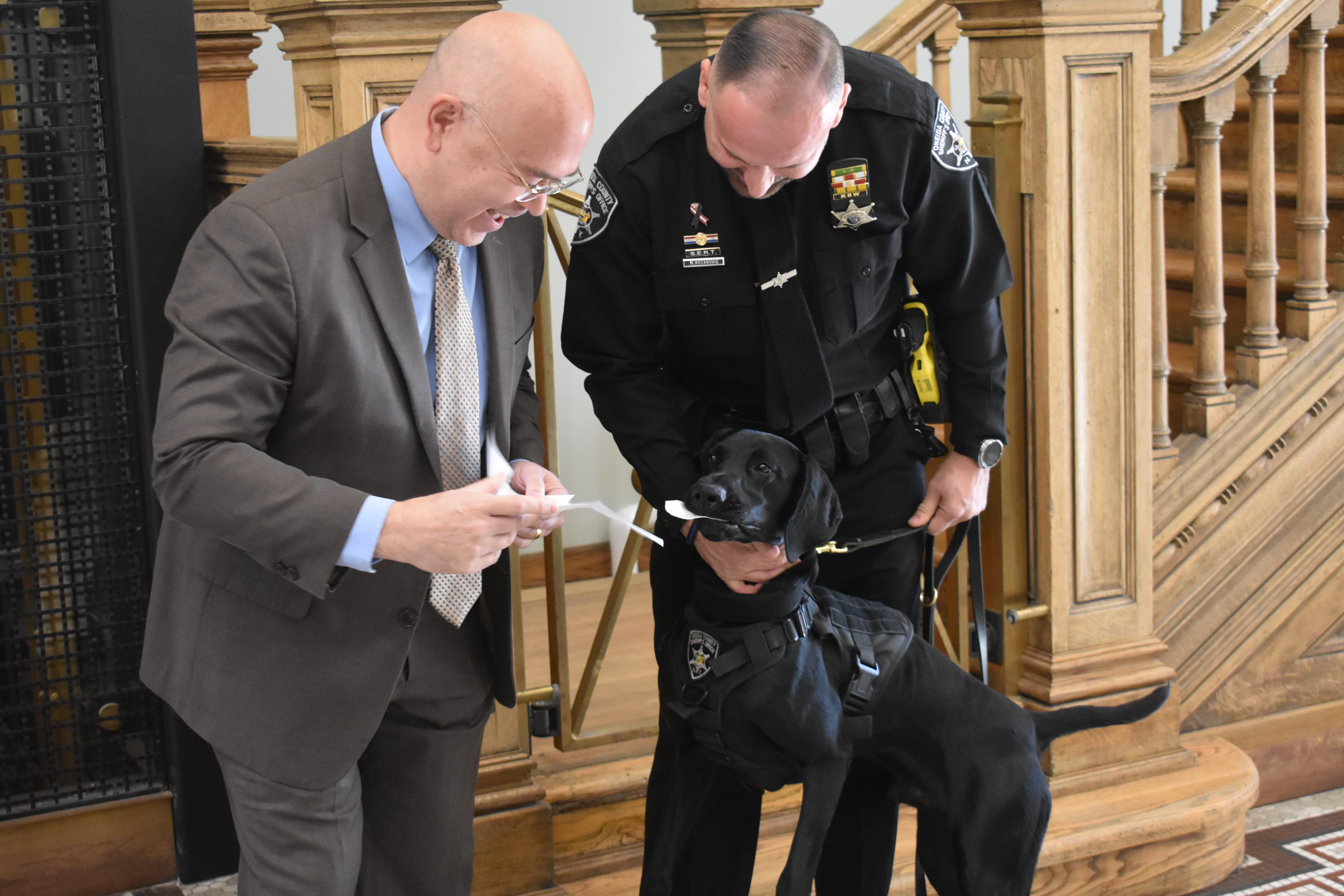 Meet George Nero, the Oneida County Sheriff's Office new K-9 officer - AOL