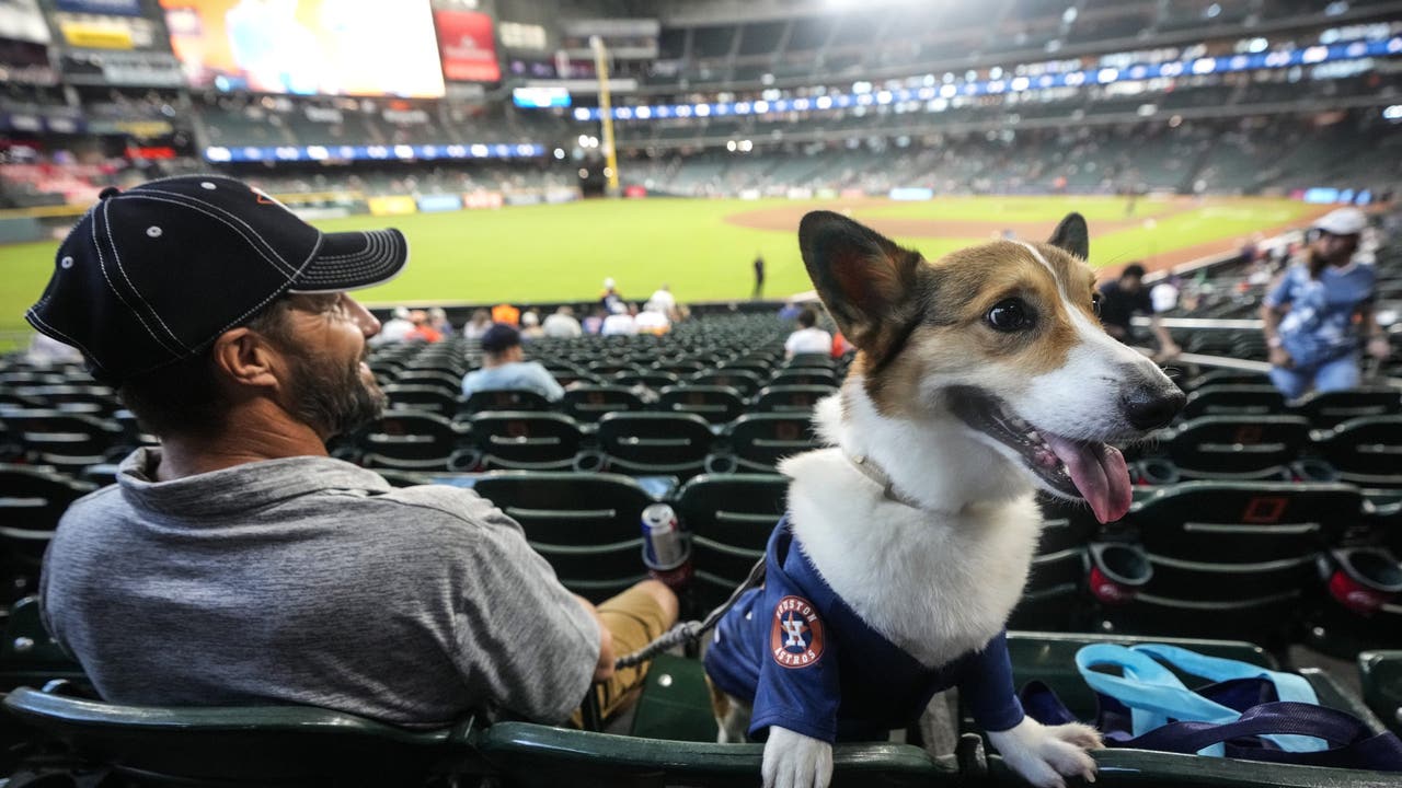 Houston’s top dog and cat names for 2026 have been revealed - AOL