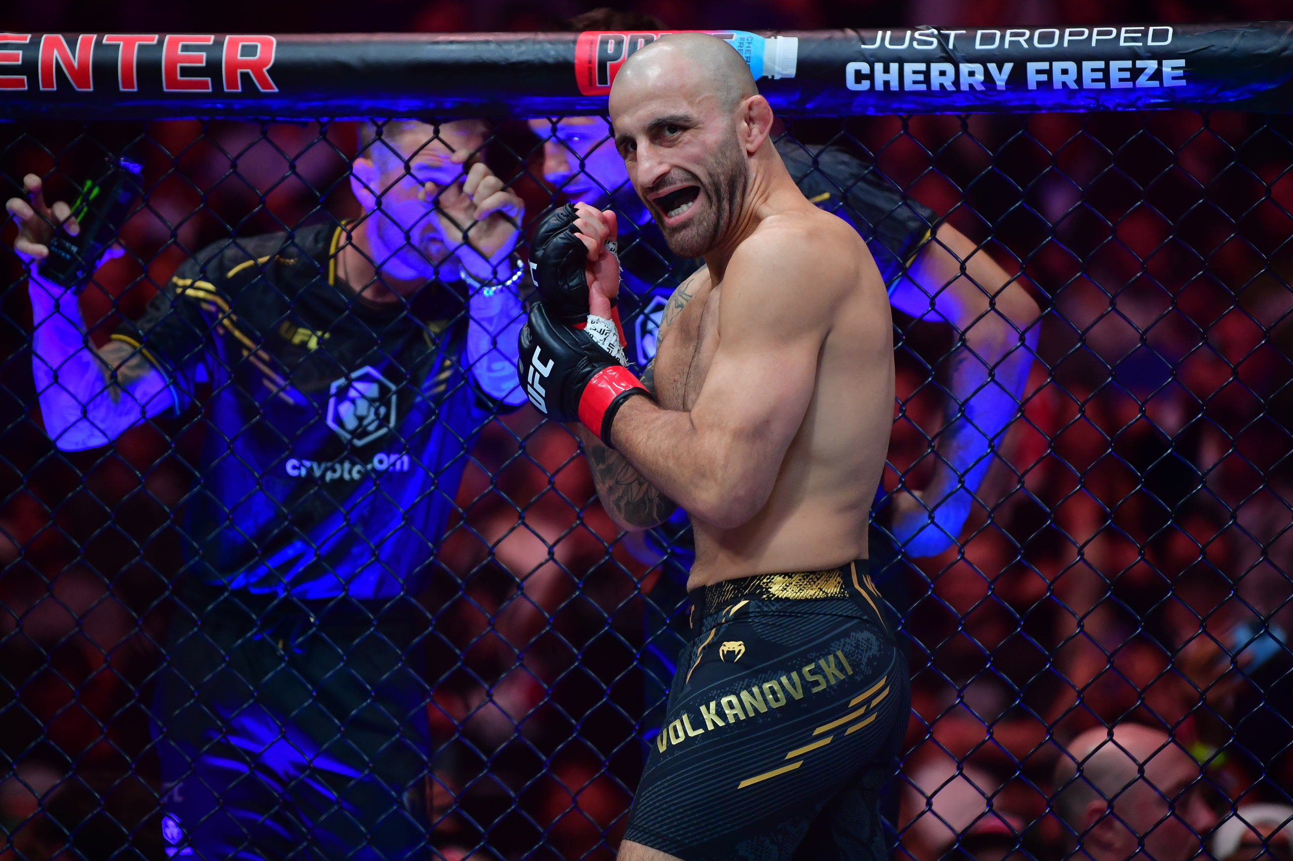 ufc pound for pound rankings