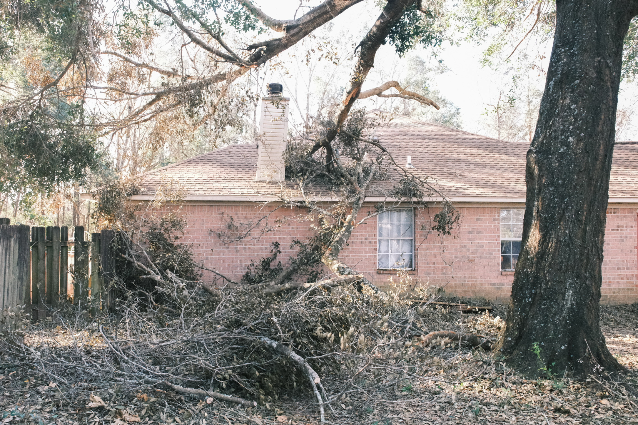 Latter-day Saint volunteers clean up after Hurricane Isaias hits ...