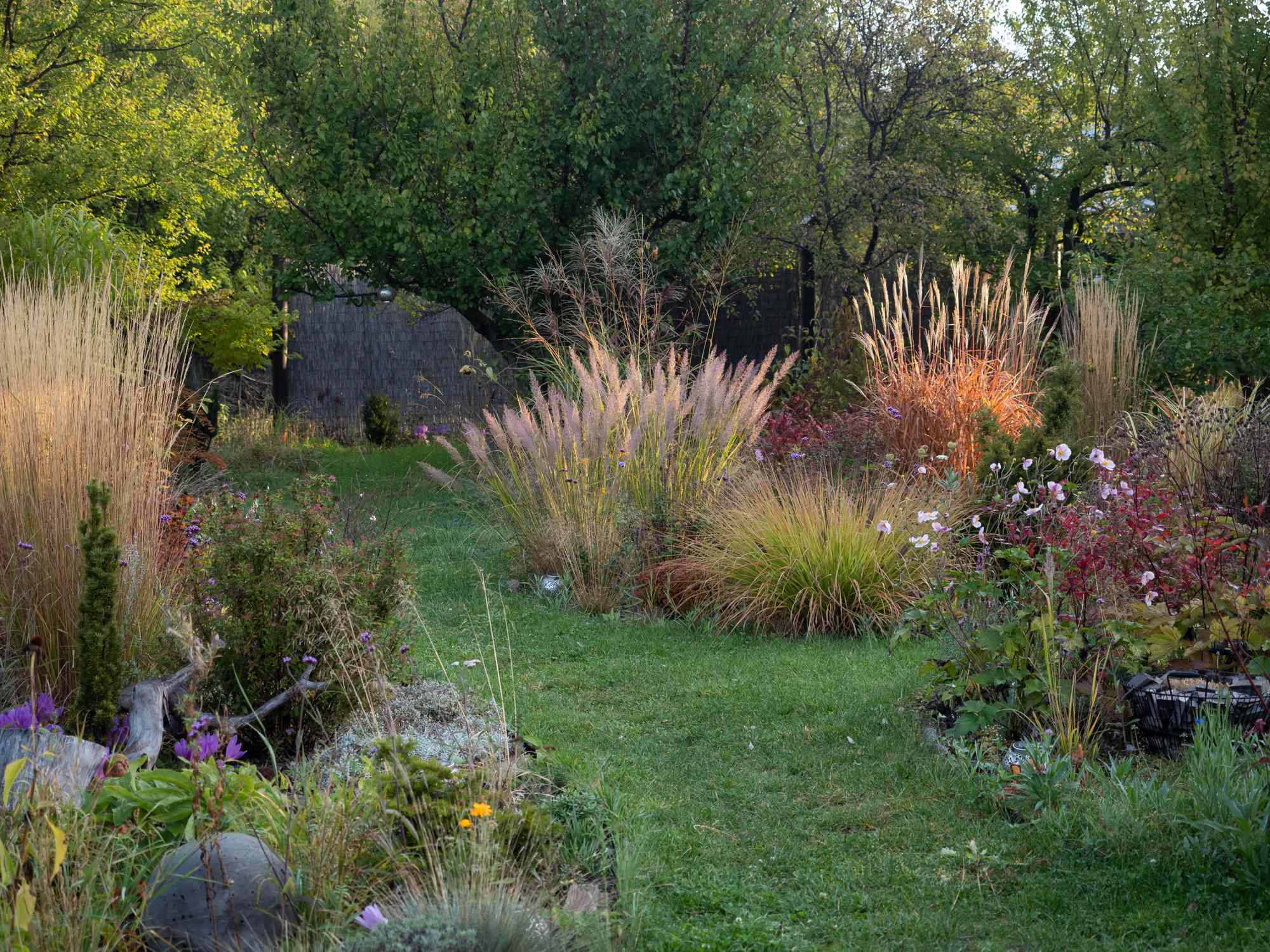 Want a Fuller Garden Year After Year? Pros Recommend These Ornamental Grasses That Grow Back Bigger and Better