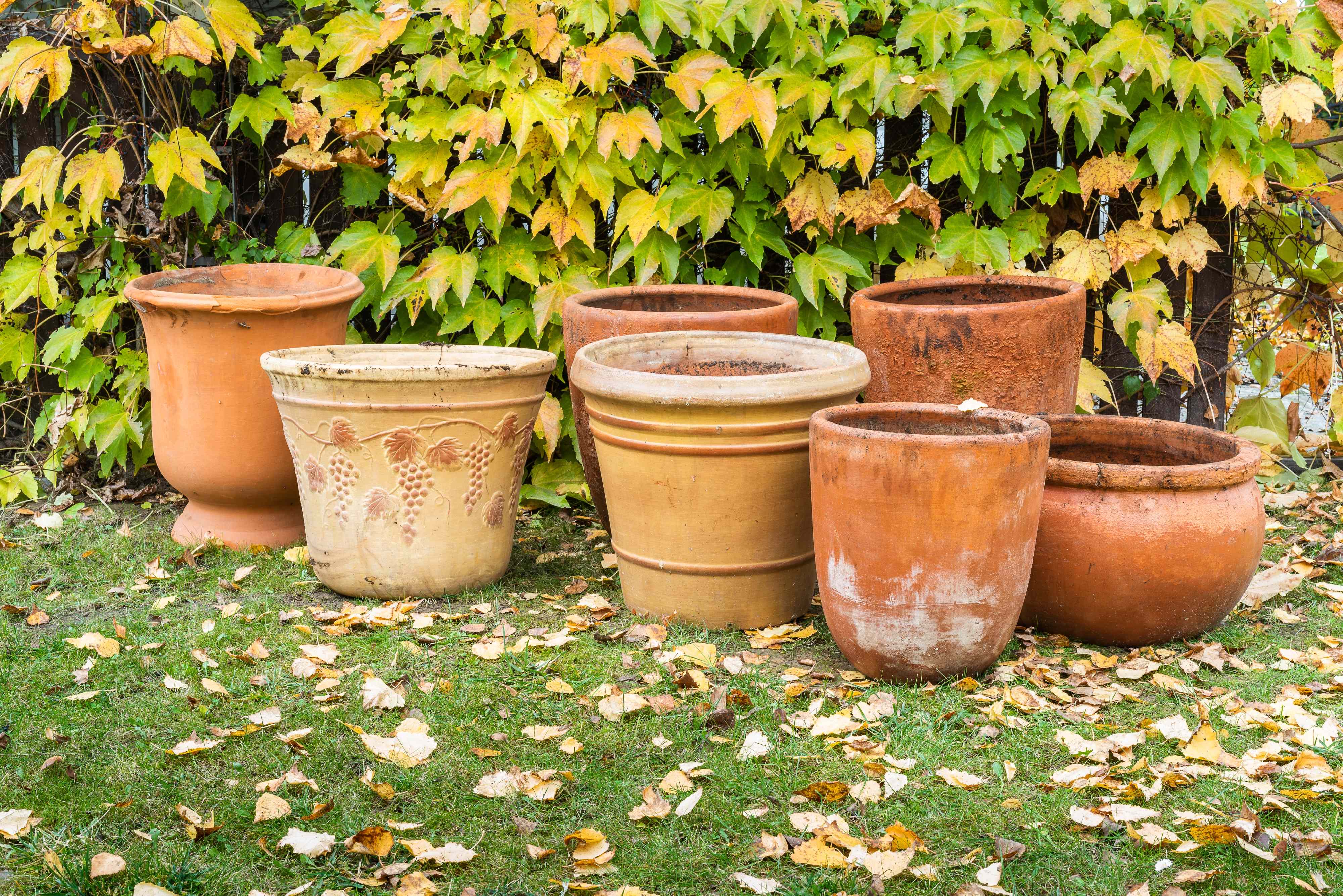 Do You Really Need to Empty Outdoor Planters Before Winter? Here’s What to Know