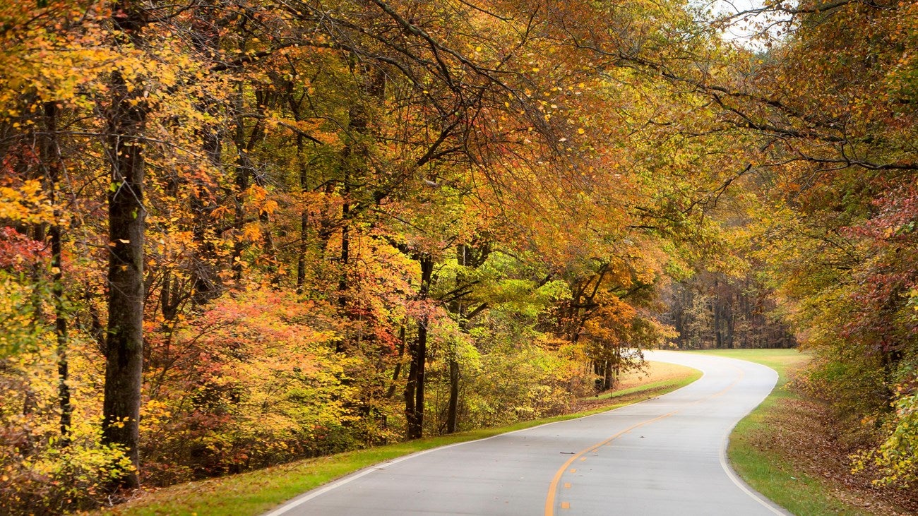 List reveals 5 US National Parks worth visiting with picture-perfect ...