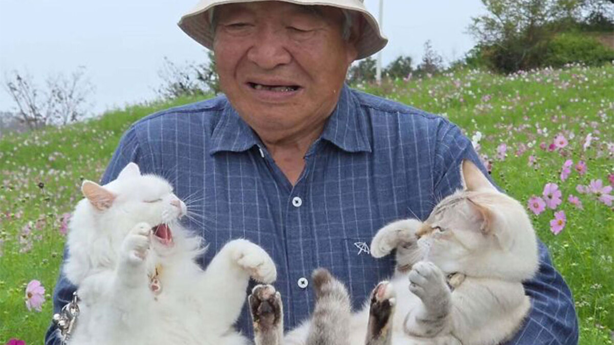 New Photo - 20 Hilarious Photos Of A Japanese Grandpa And His Cats Who Just Can’t Get Along For The Camera
