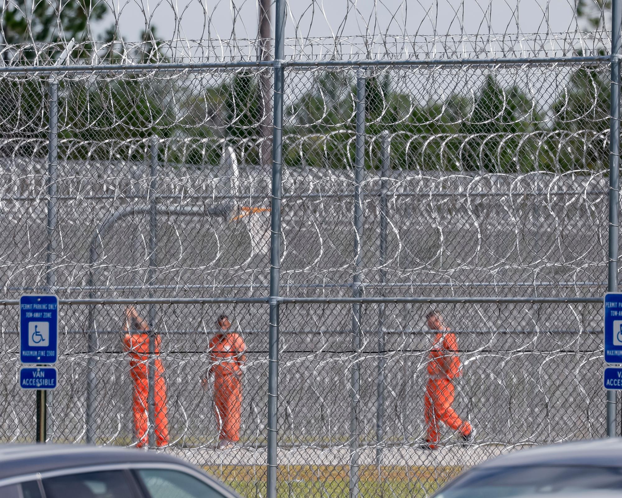 Man detained at Georgia immigration detention center dies as hunger ...