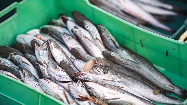 For Flavorful And Sustainable Fish And Chips, Choose This Type Of Cod - AOL