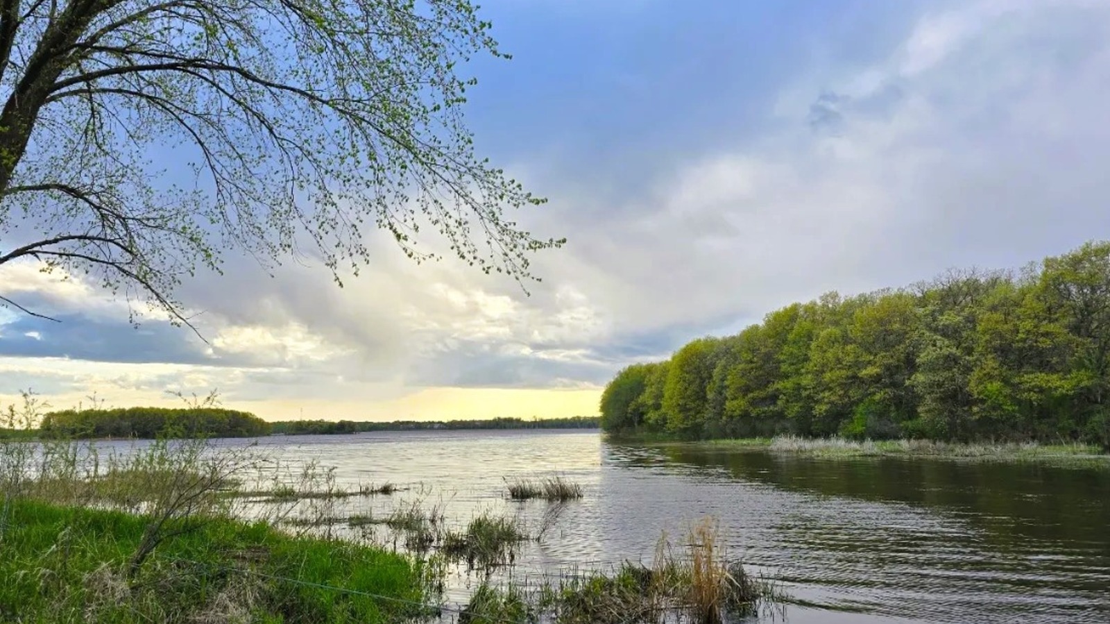 Minnesota's Scenic Wetlands Escape Under An Hour From Minneapolis Is A Beauty With Hiking And Wildlife