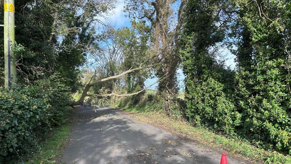 Majority of homes in NI have power restored after Storm Boelo - AOL