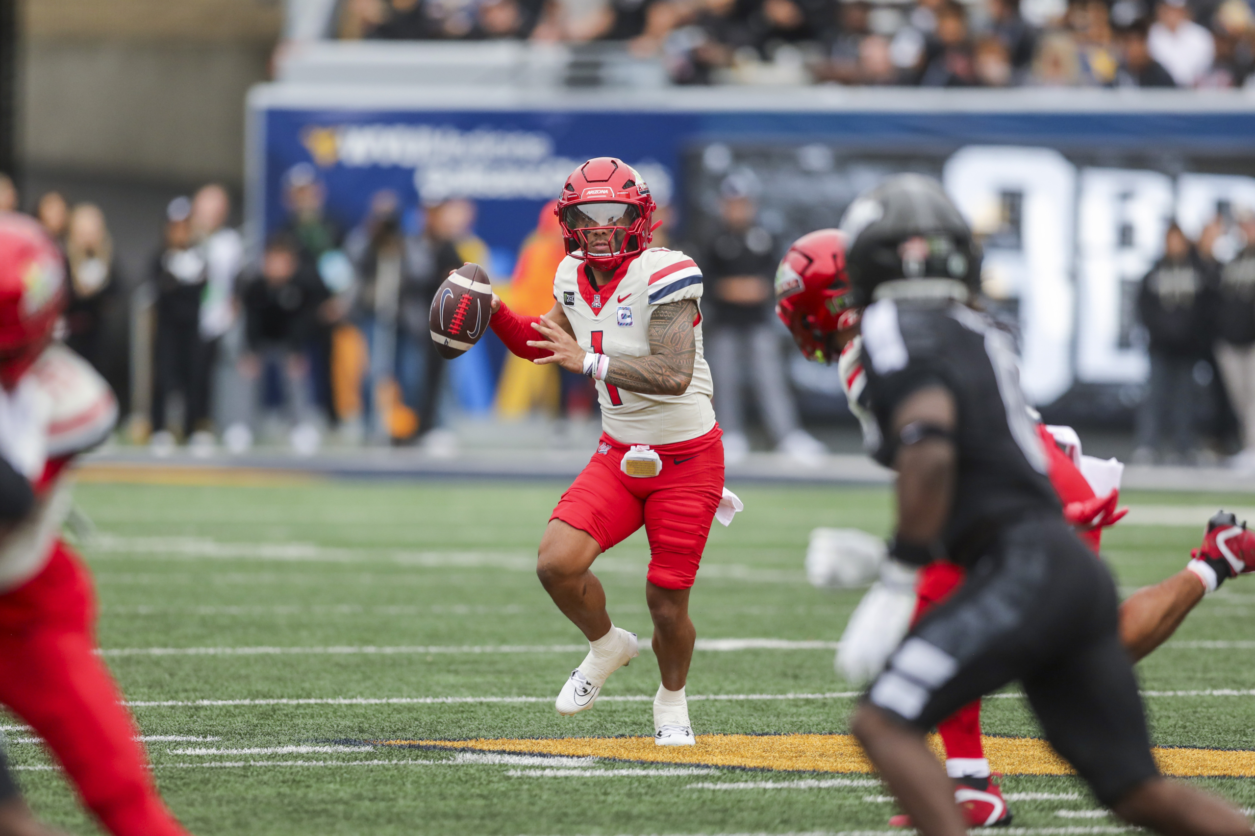 Week 9 College Football Rankings, Arizona Wildcats