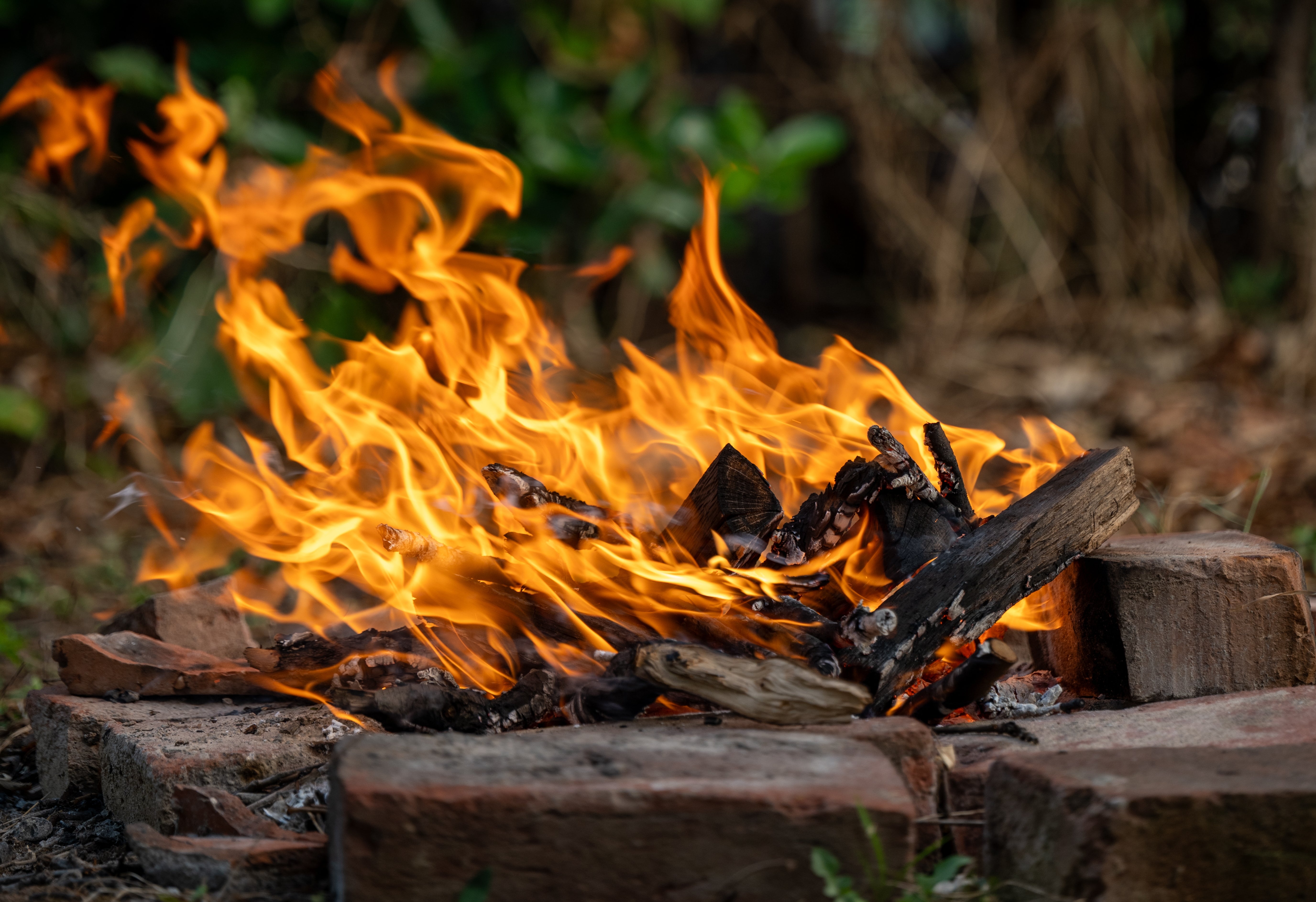 Campfire Transparency Essential Survival Tips Most People Don't Know But Could Save Your Life ...