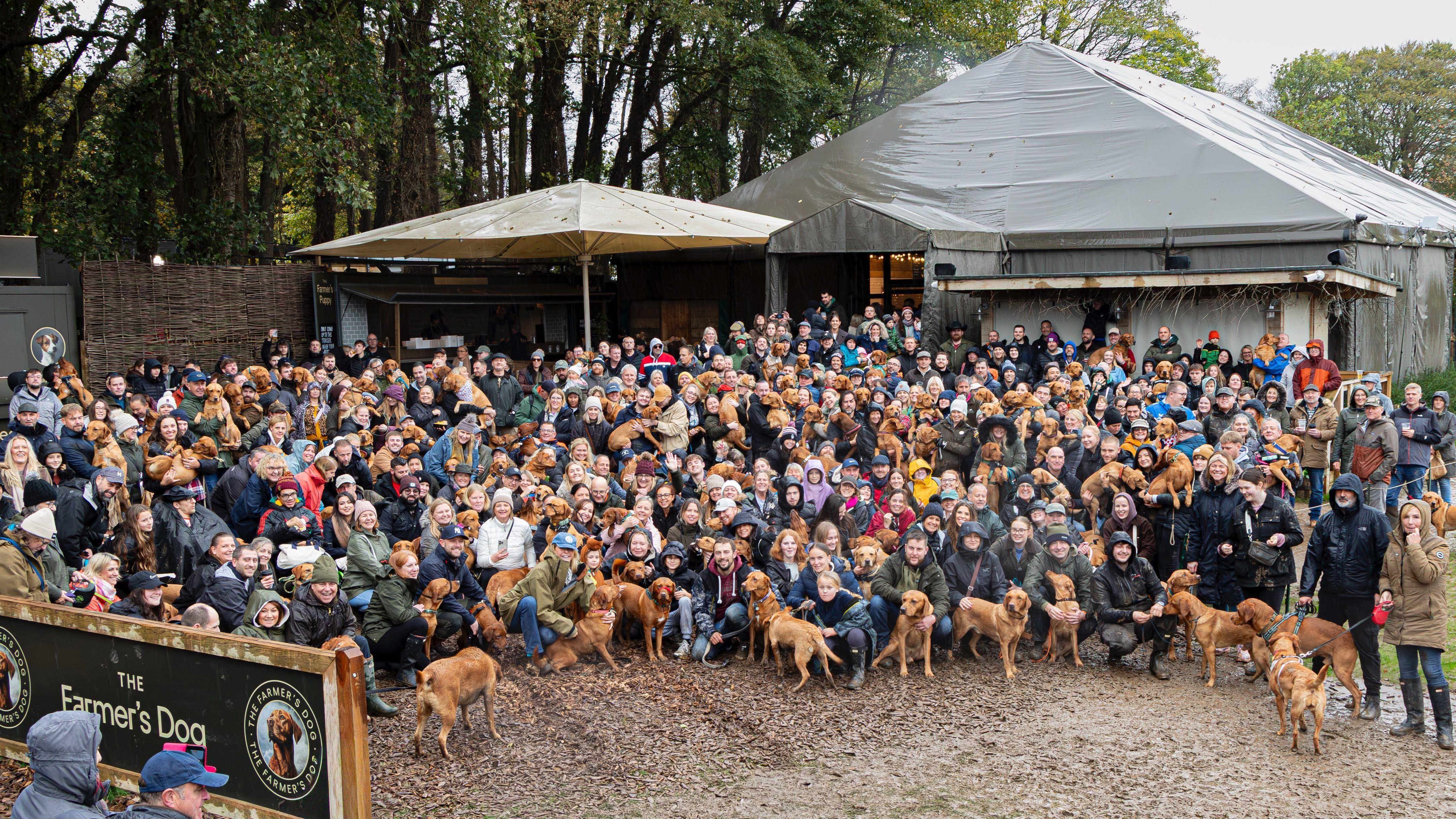 New Photo - More than 250 Labradors gather at Clarkson's pub
